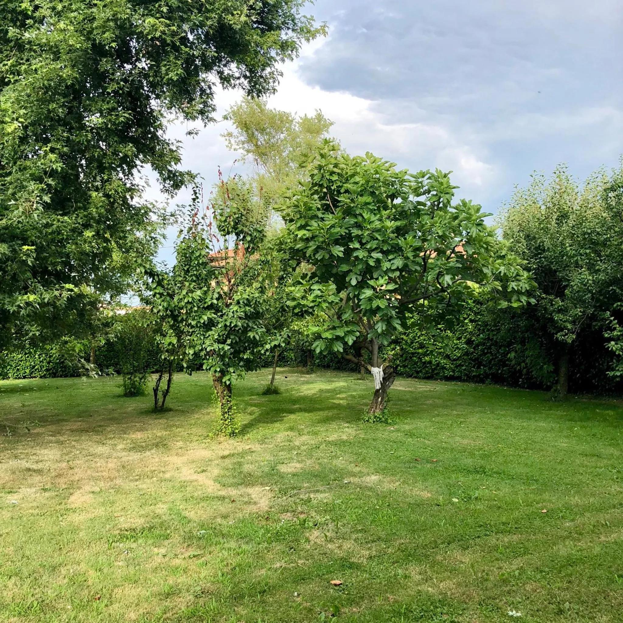 Garden in B&B Family First