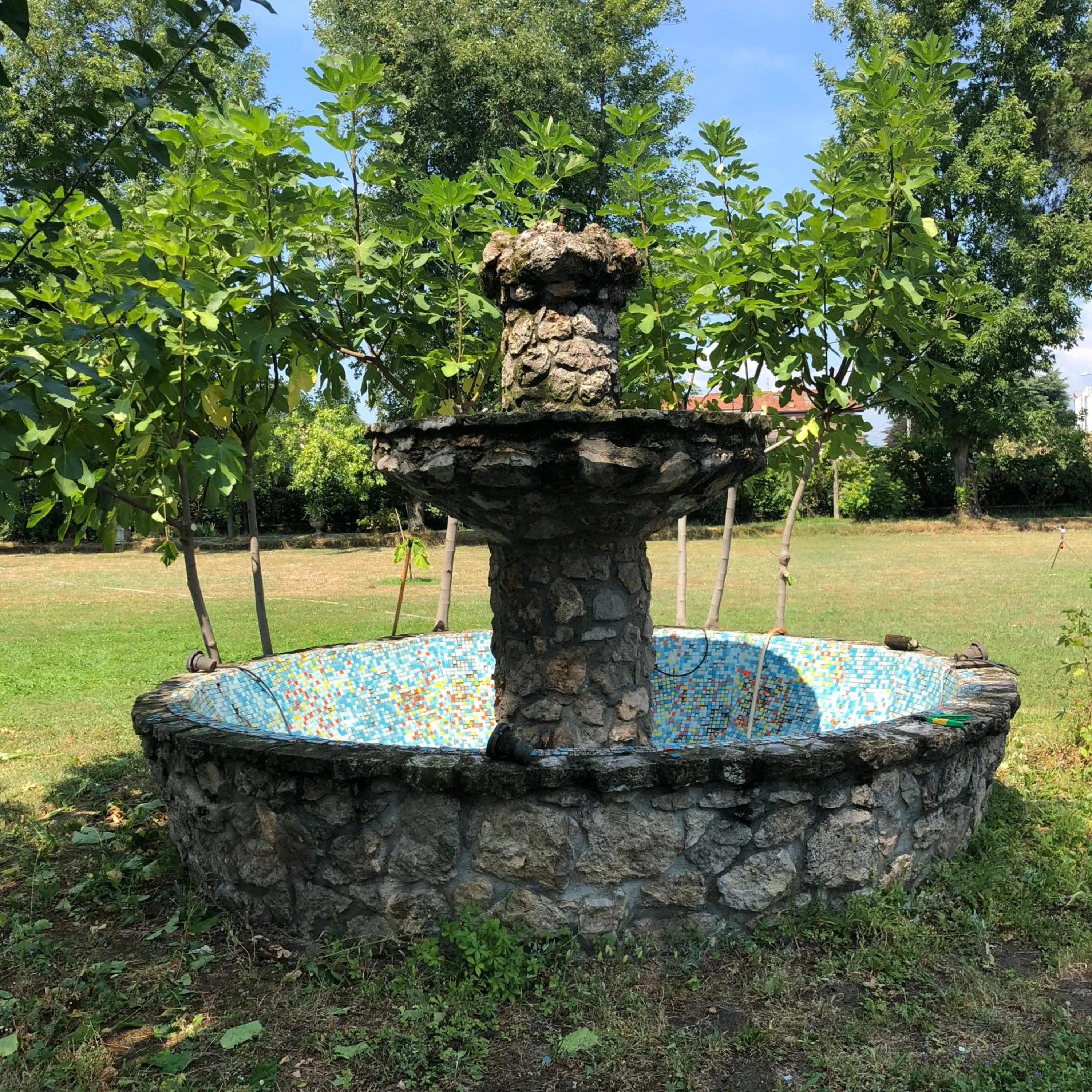 Garden in B&B Family First