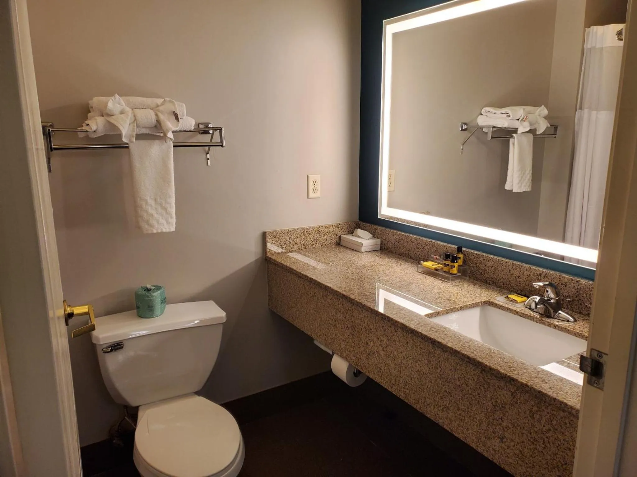 Bathroom in Best Western Fort Wayne Inn & Suites North