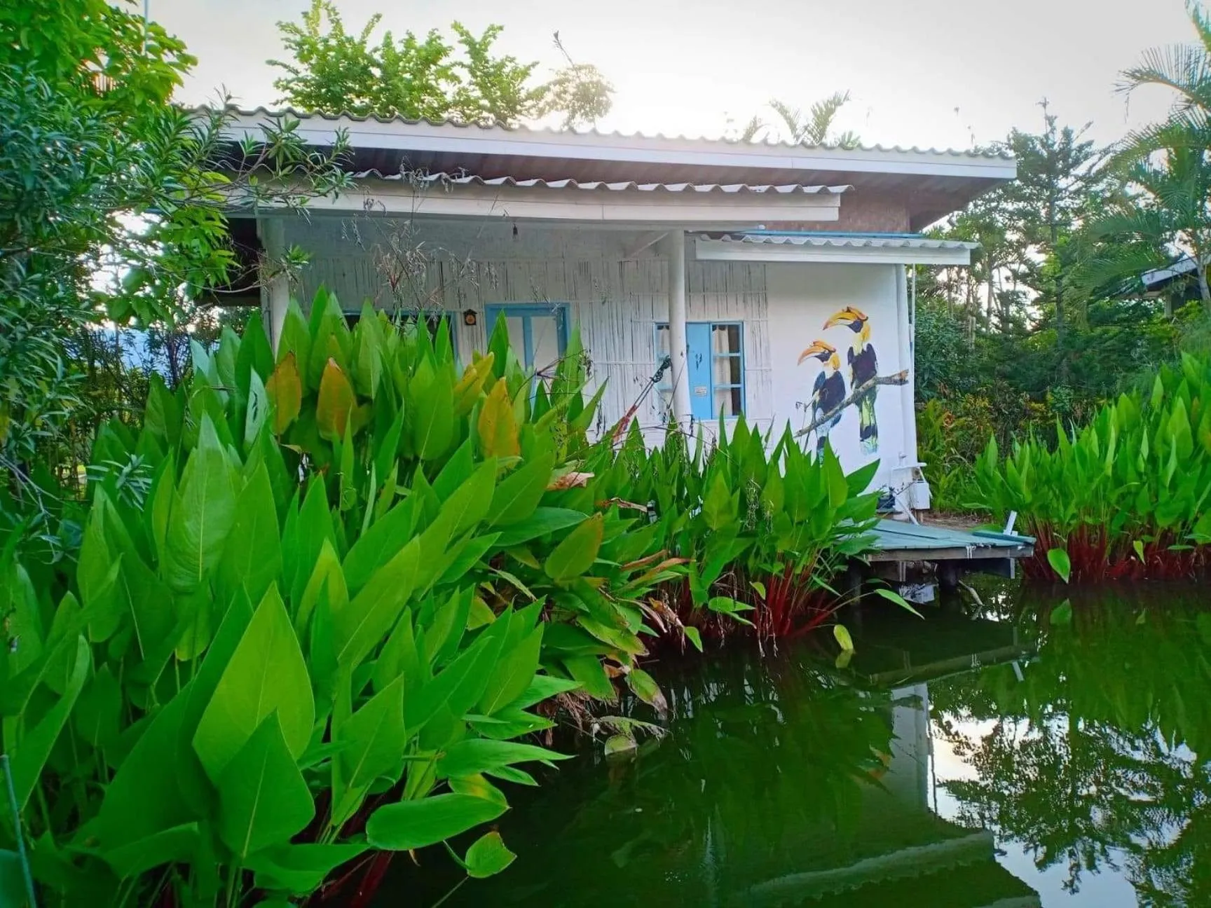 Bueng Pai Farm บึงปายฟาร์ม