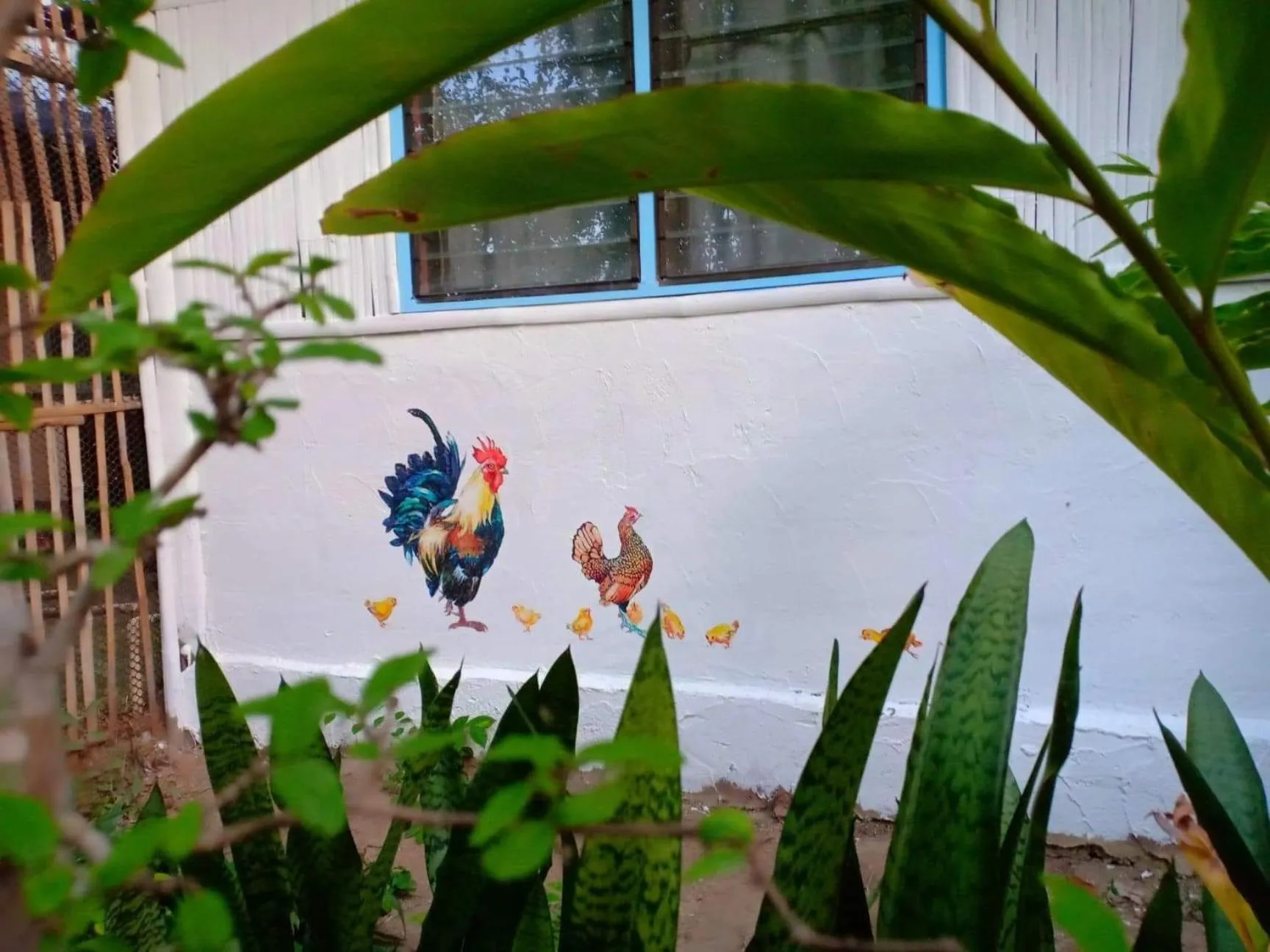 Bueng Pai Farm บึงปายฟาร์ม