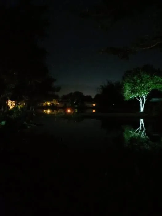 Bueng Pai Farm บึงปายฟาร์ม