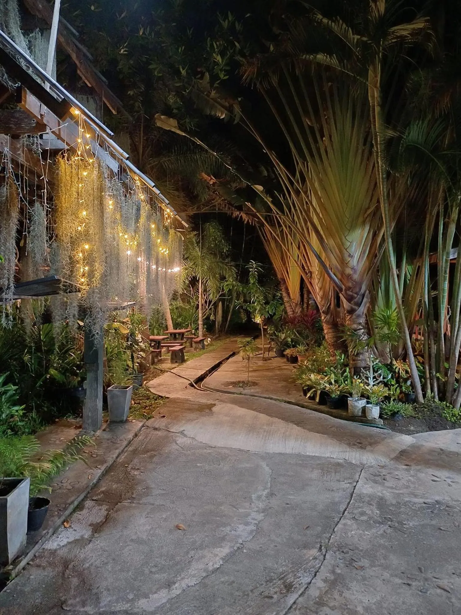 Bueng Pai Farm บึงปายฟาร์ม