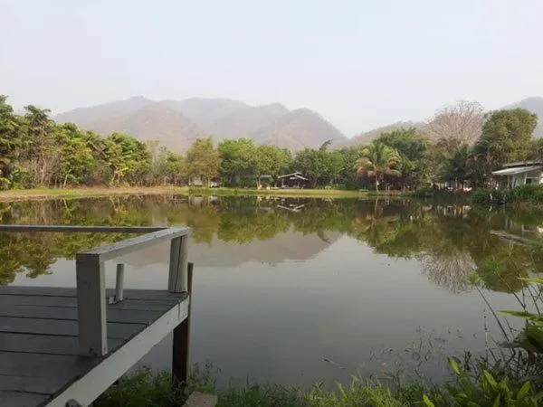 Bueng Pai Farm บึงปายฟาร์ม