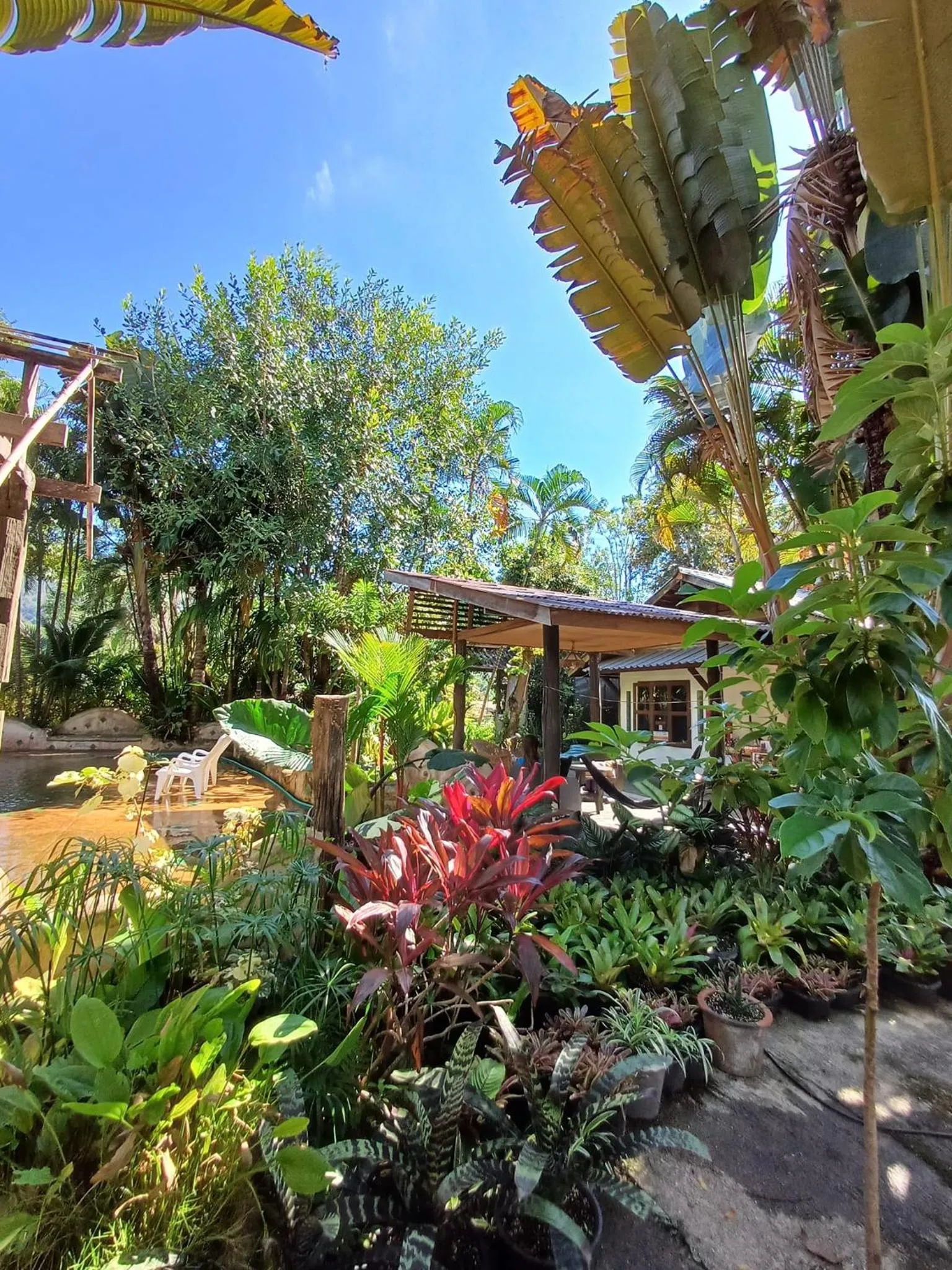 Bueng Pai Farm บึงปายฟาร์ม