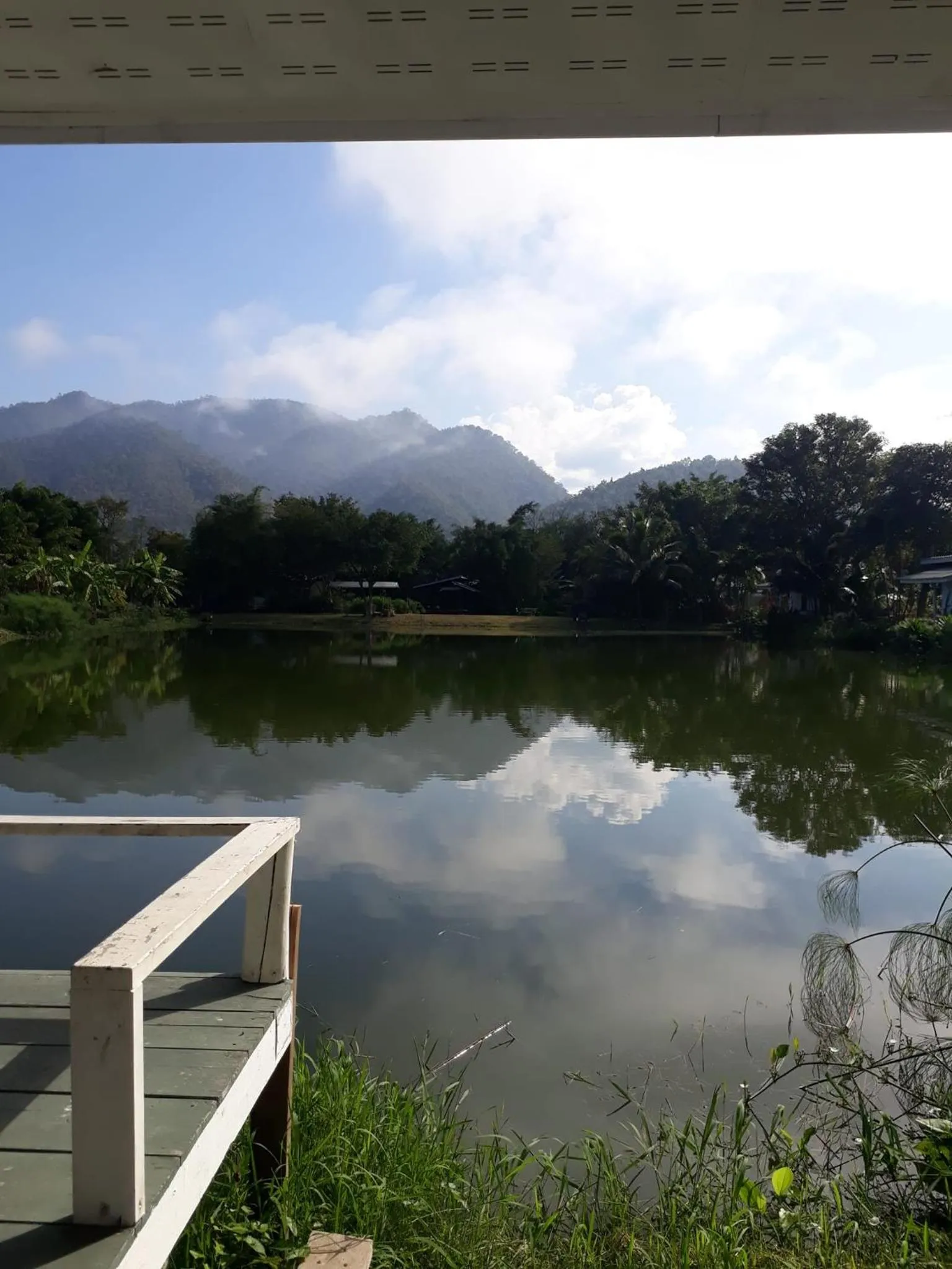 Bueng Pai Farm บึงปายฟาร์ม