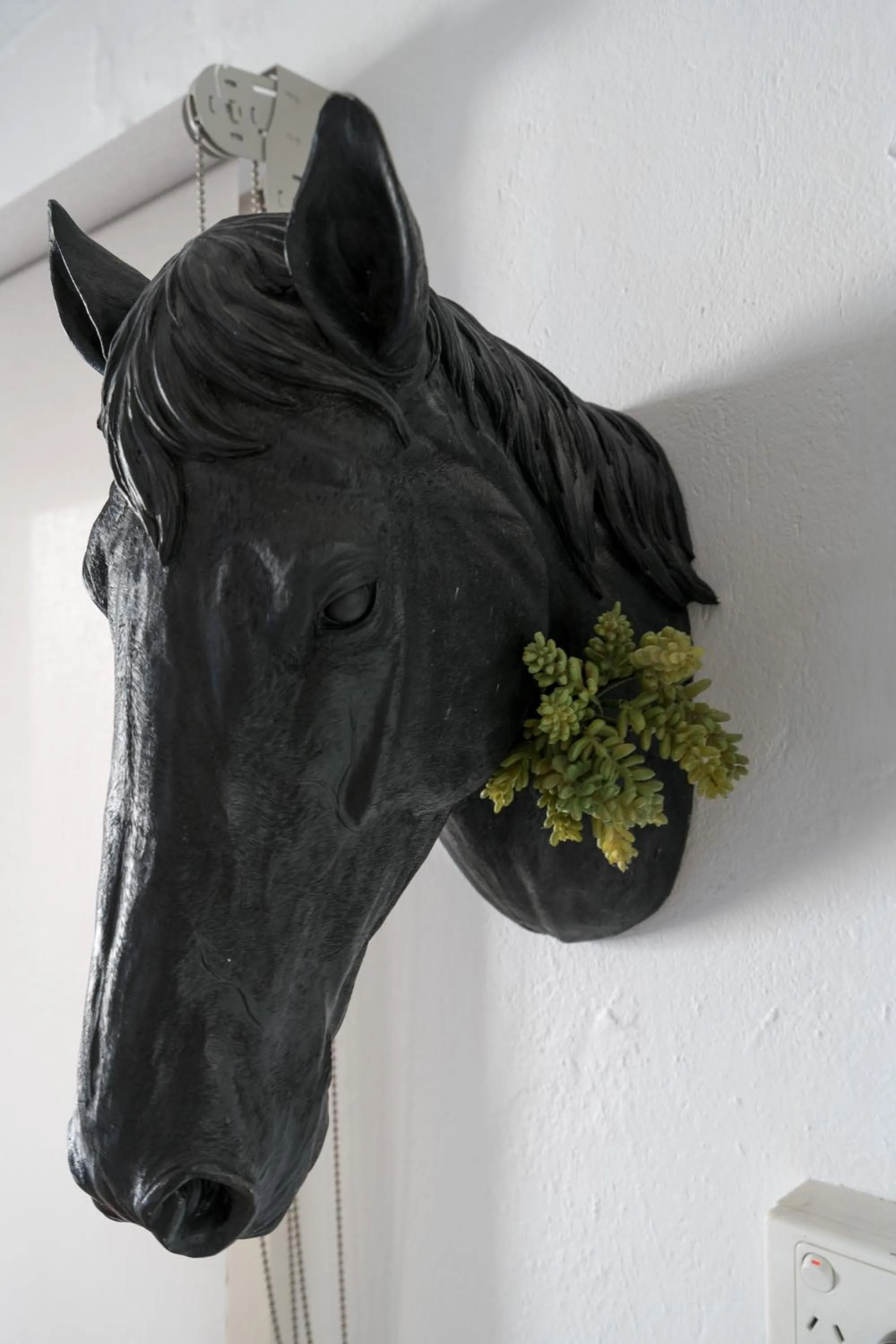 Decorative detail in Amazing Apartment, Beautiful Location - FREE WIFI