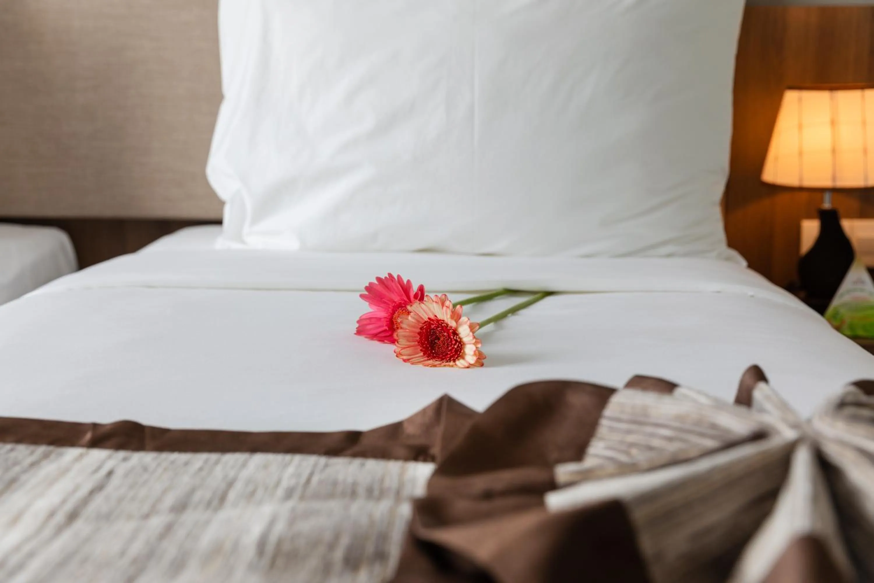 Bedroom, Bed in Libra Hotel Nha Trang