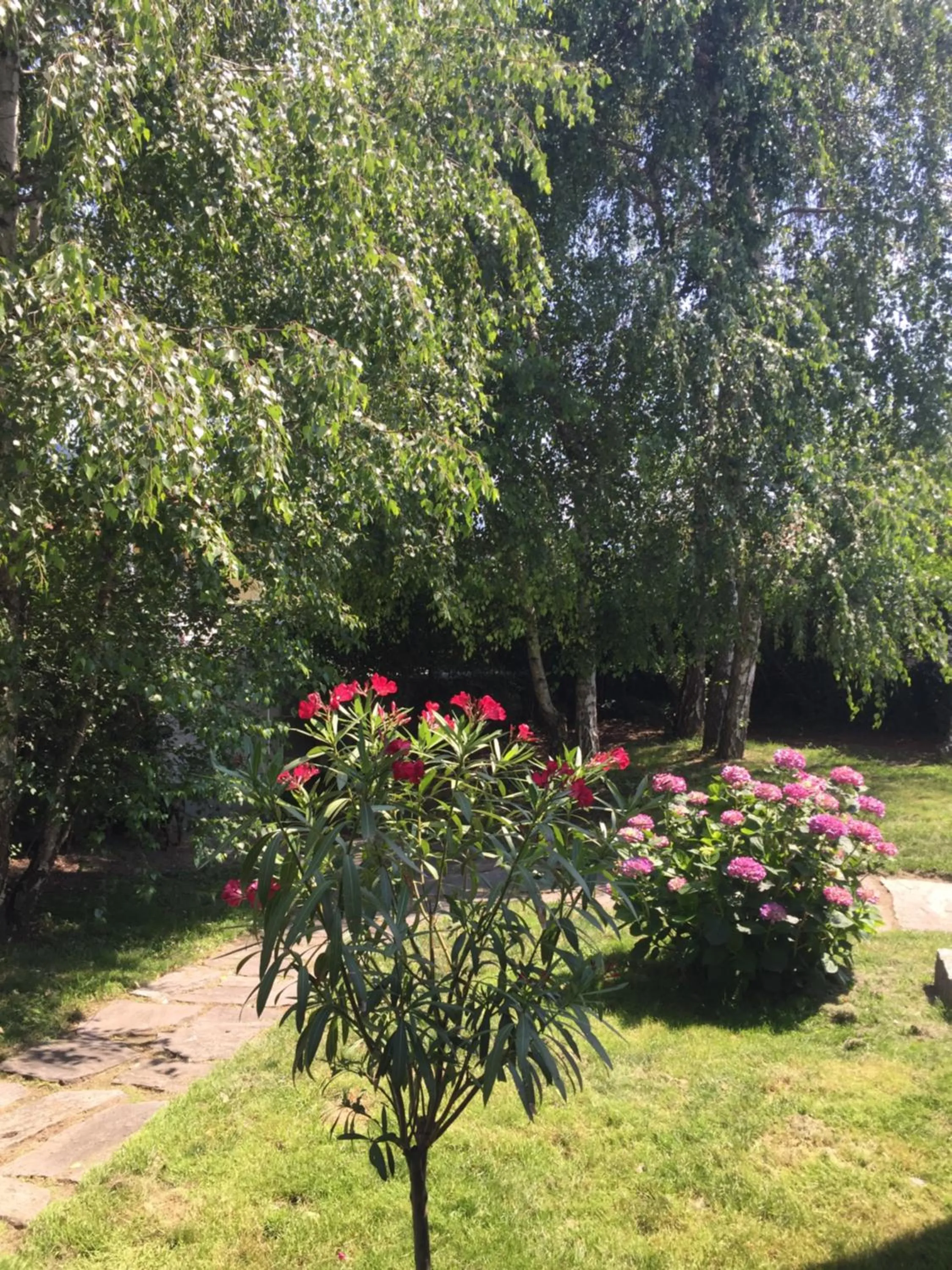 Garden view in B&B Il tempo del sogno con cani e gatti Pet&Breakfast