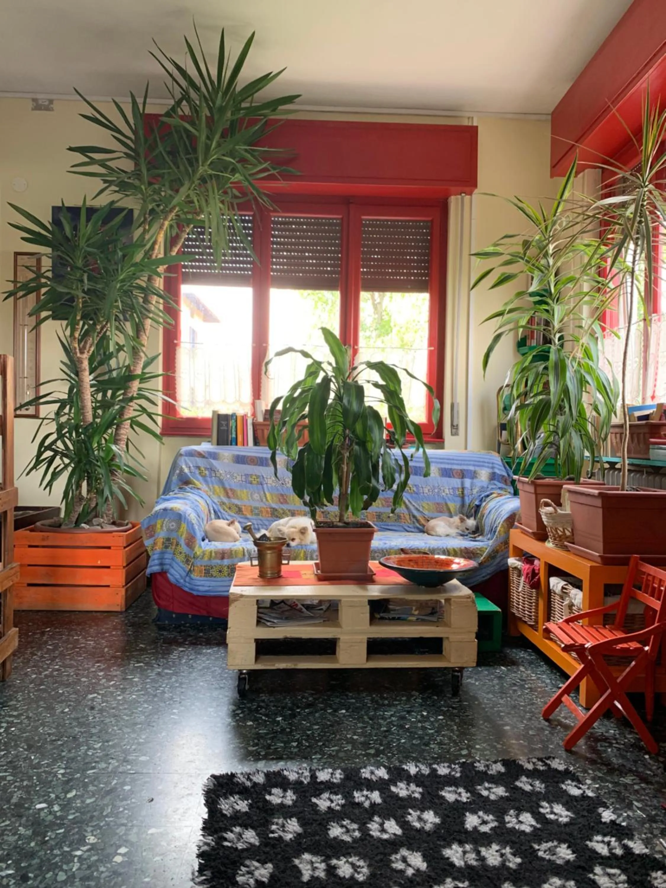 Living room in B&B Il tempo del sogno con cani e gatti Pet&Breakfast