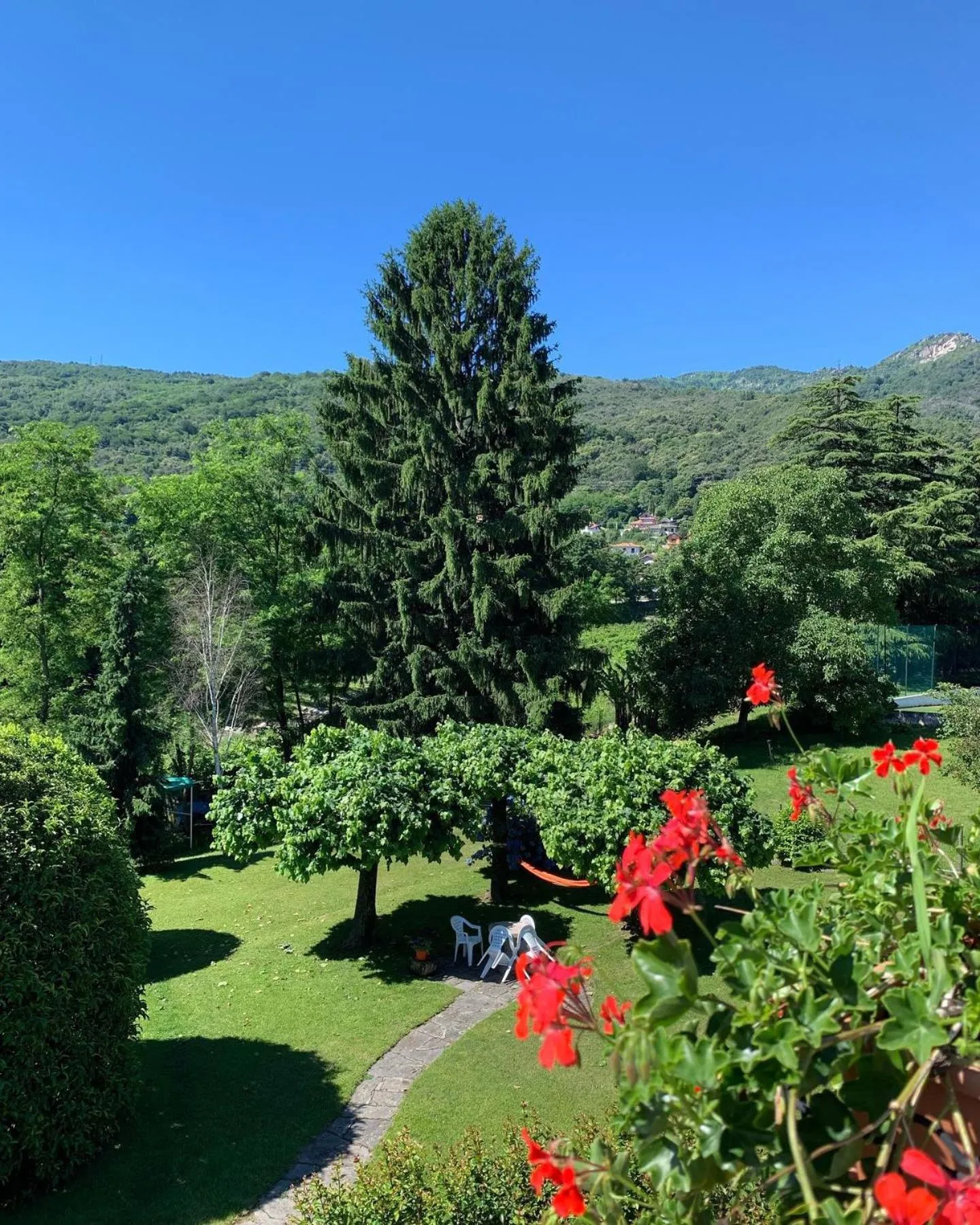 Solarium in B&B Il tempo del sogno con cani e gatti Pet&Breakfast