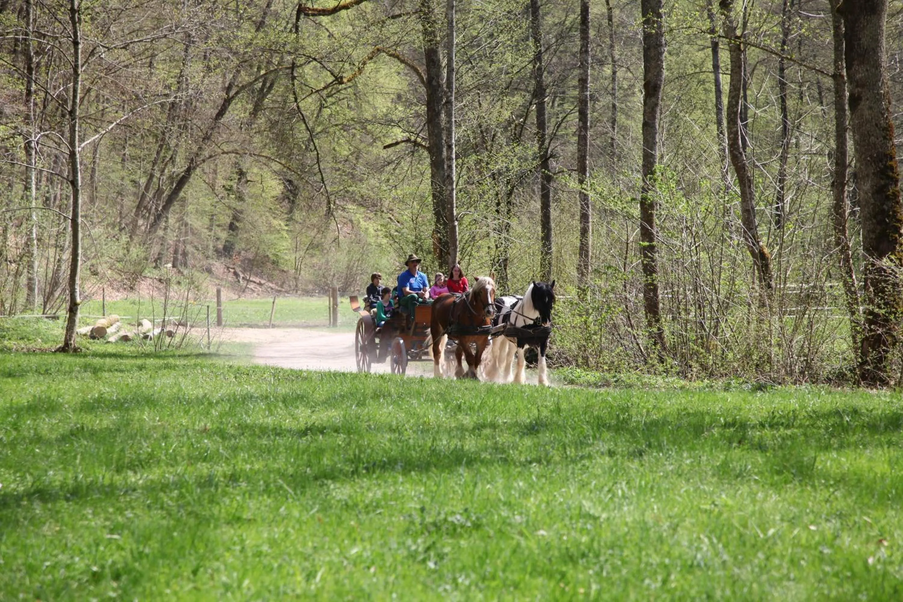 Hiking in Erlebnisgastronomie Lochmuhle