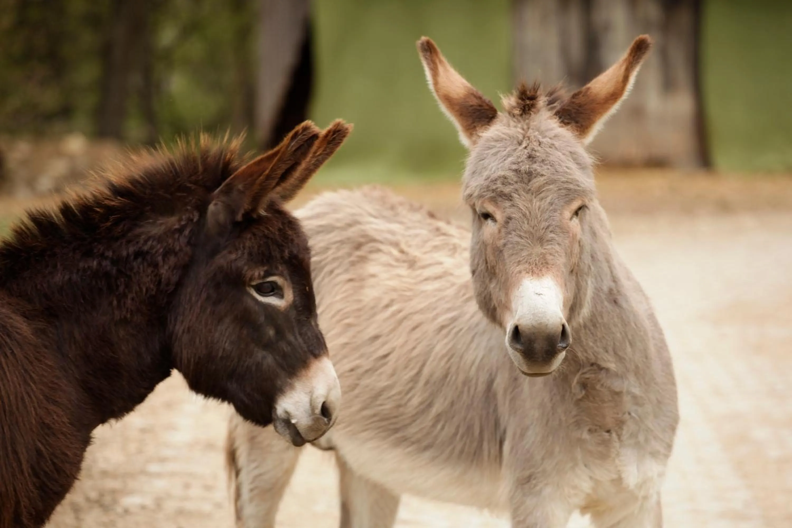 Property building in Erlebnisgastronomie Lochmuhle