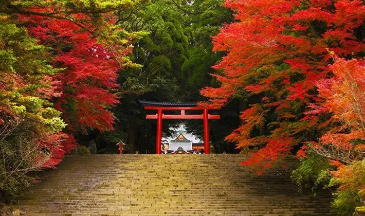 Active Resorts KIRISHIMA