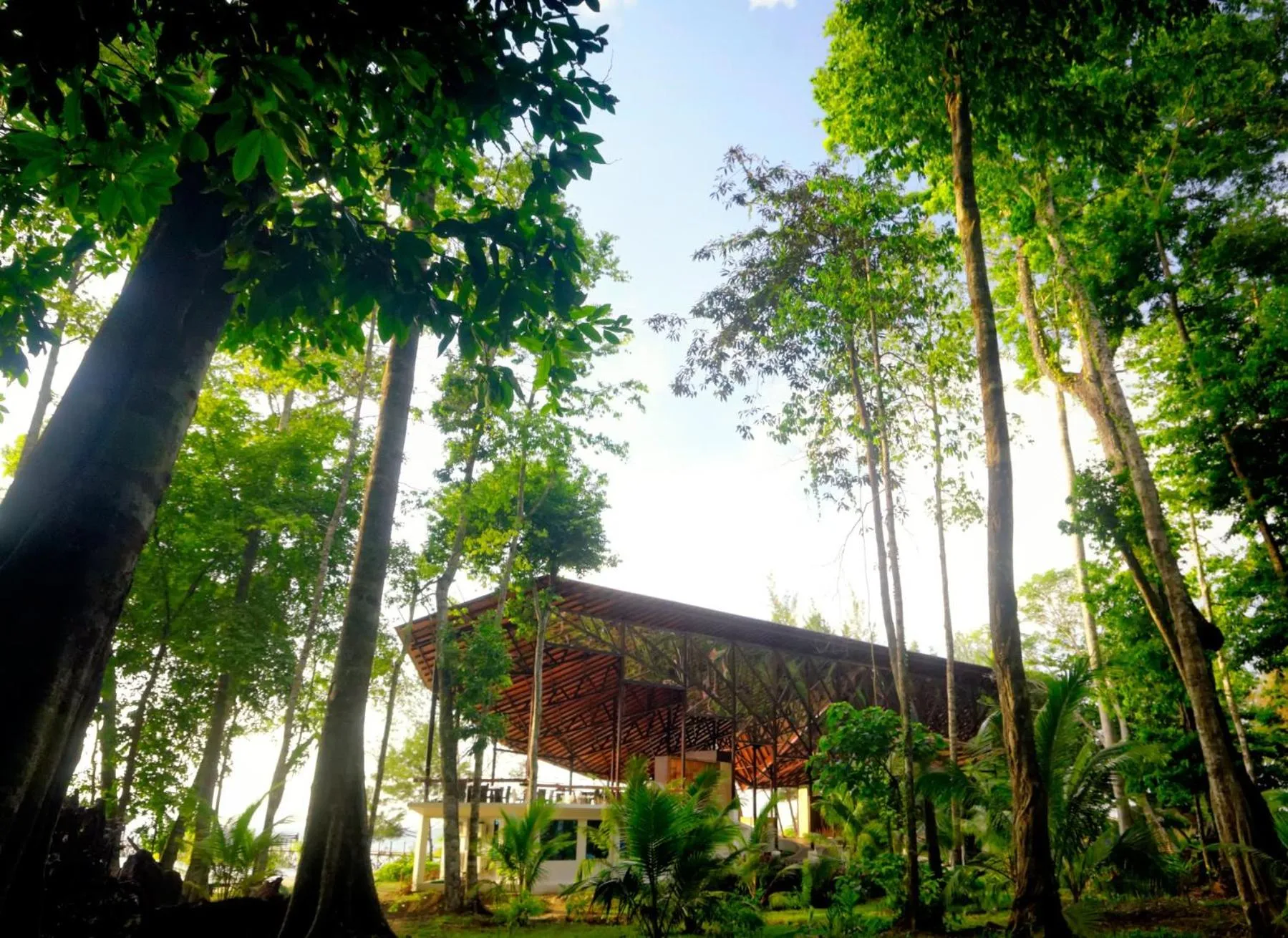 Property building in Borneo Eagle Resort