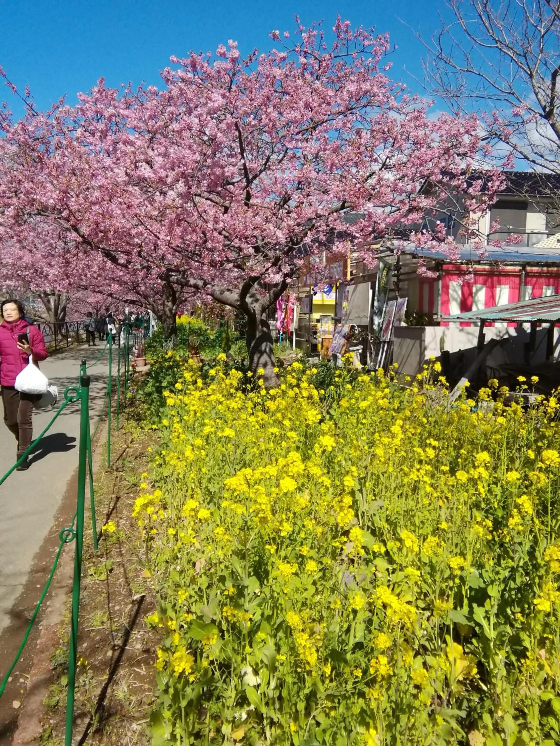 Spring in Pension Izukogen