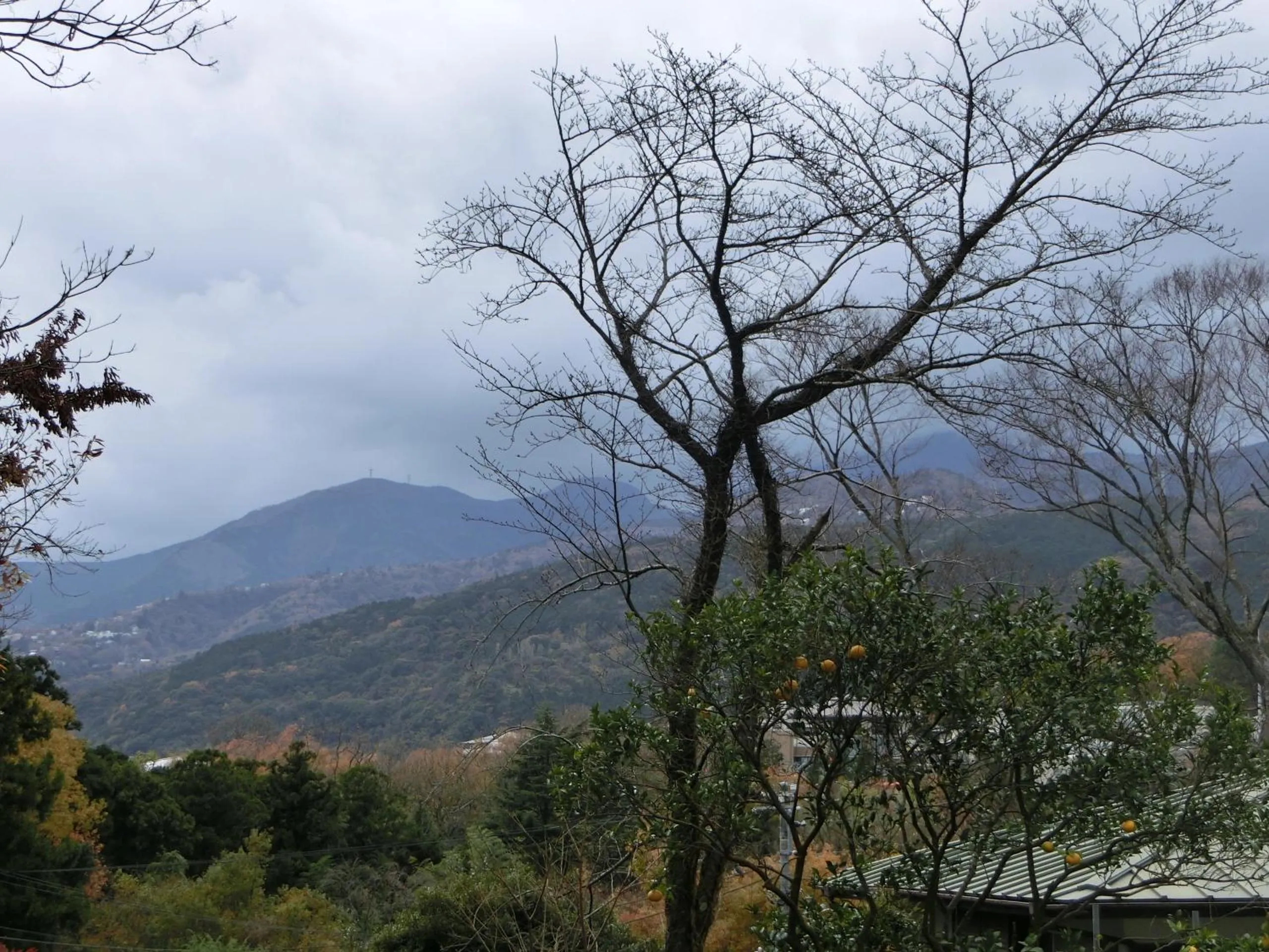Neighbourhood in Pension Izukogen