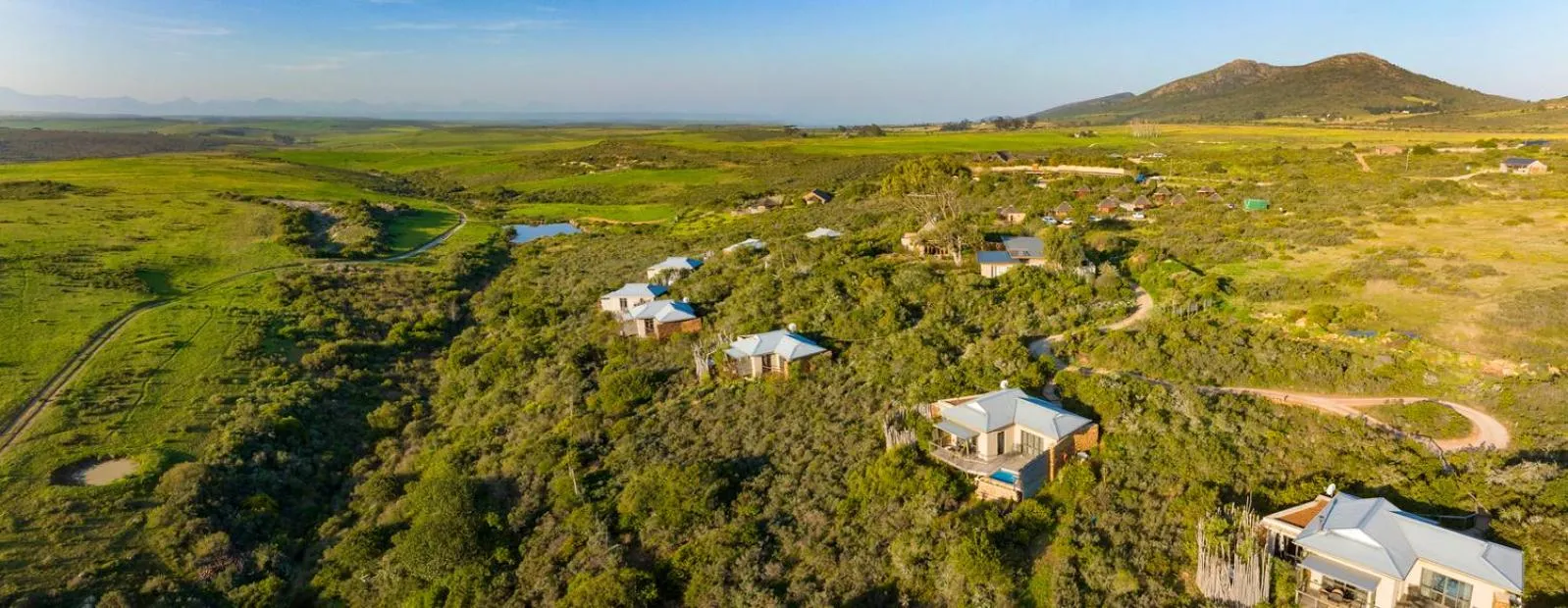 View (from property/room) in Garden Route Game Lodge