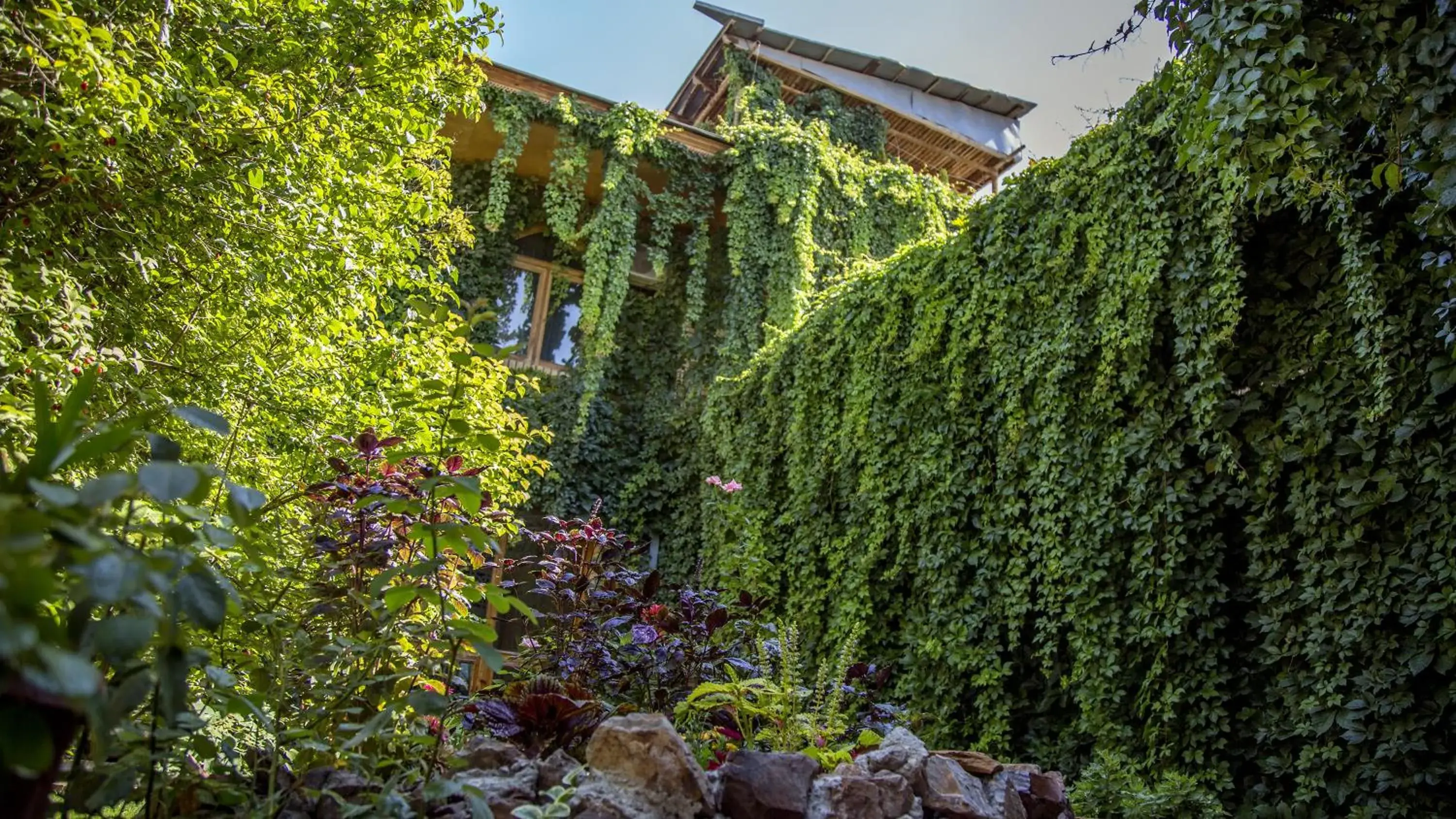 Facade/entrance in Hotel Caravan Serail Facade/entrance in Hotel Caravan Serail