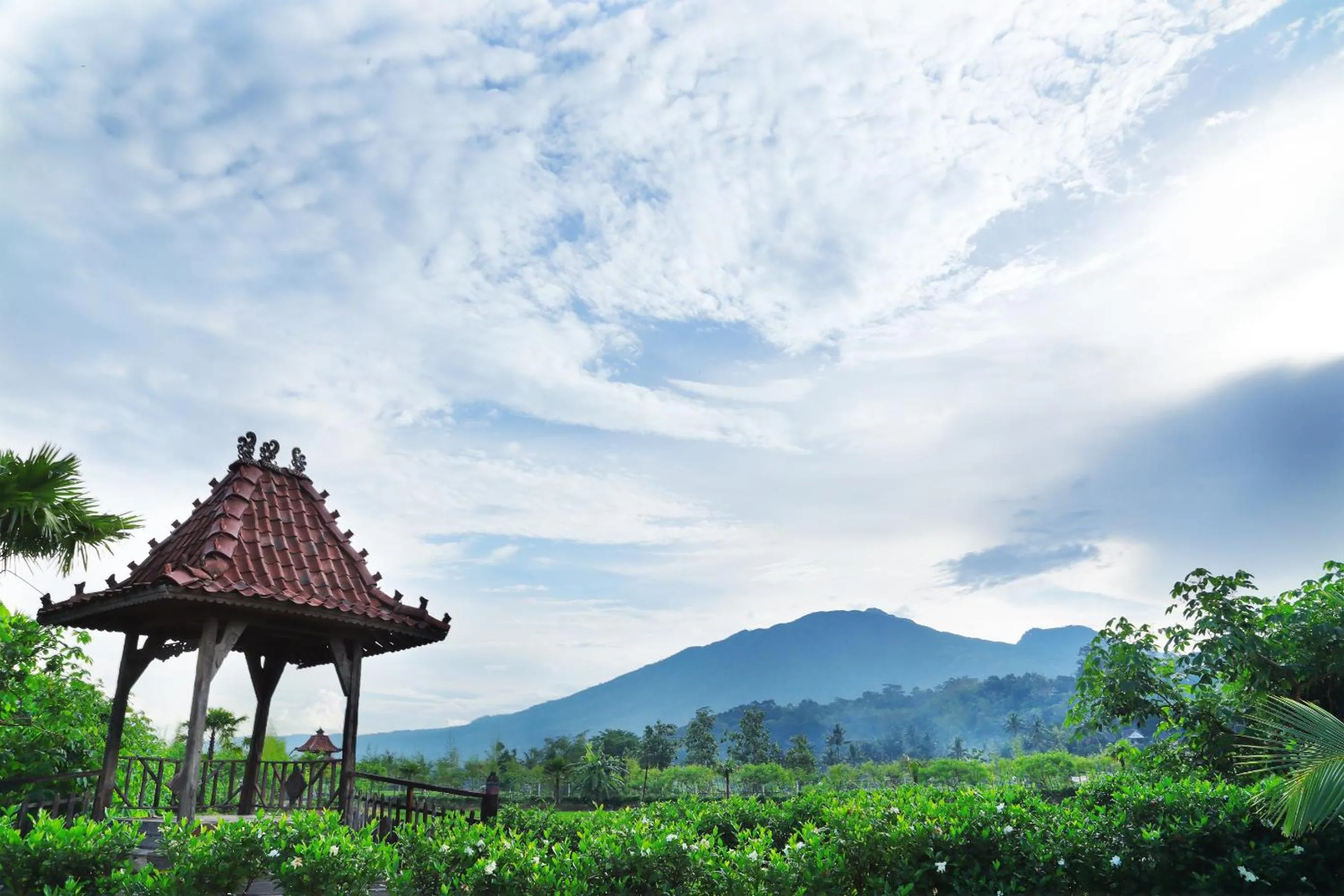 Natural landscape in Melva Balemong