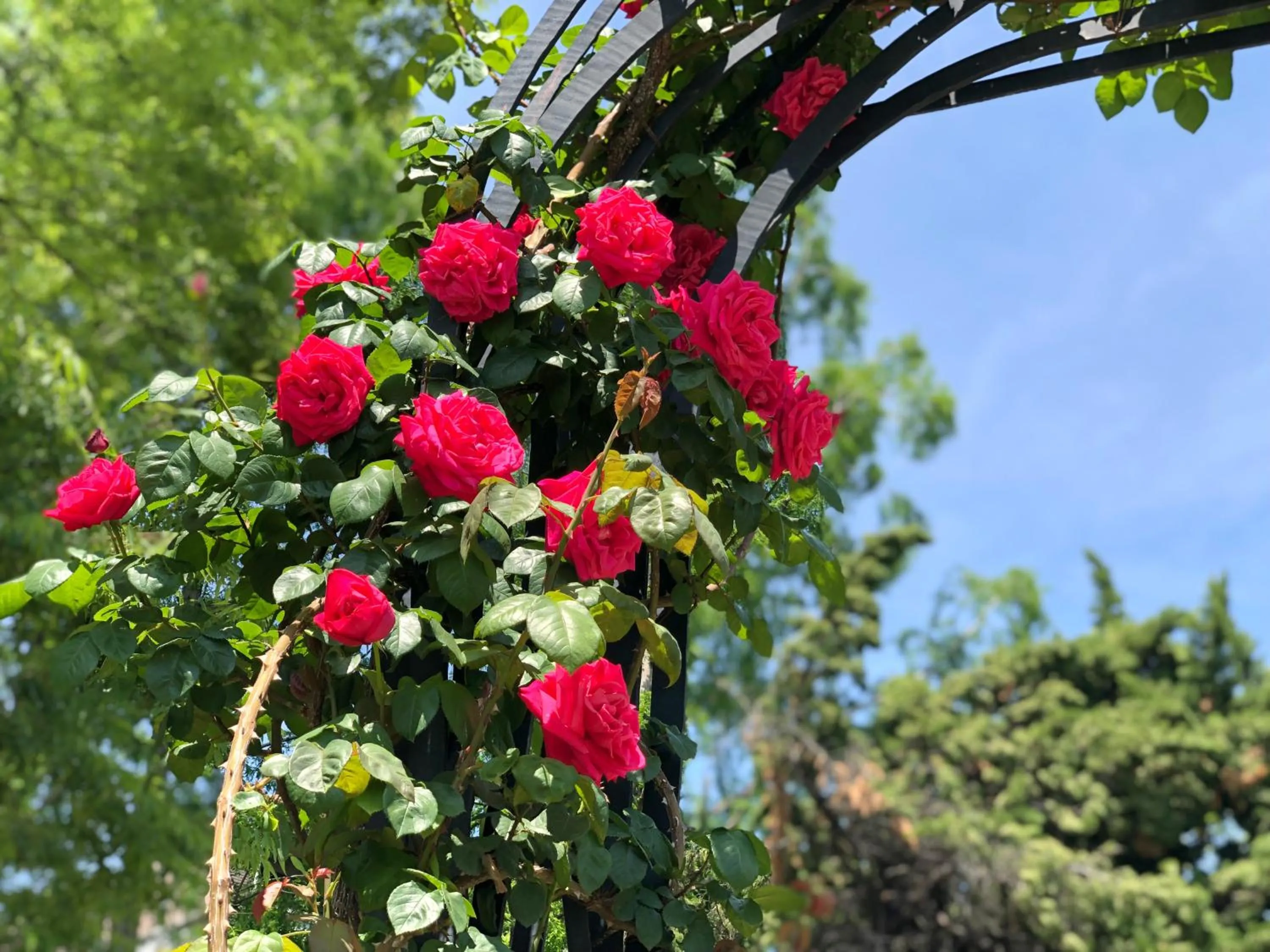 Off site in Cityroute Hotel