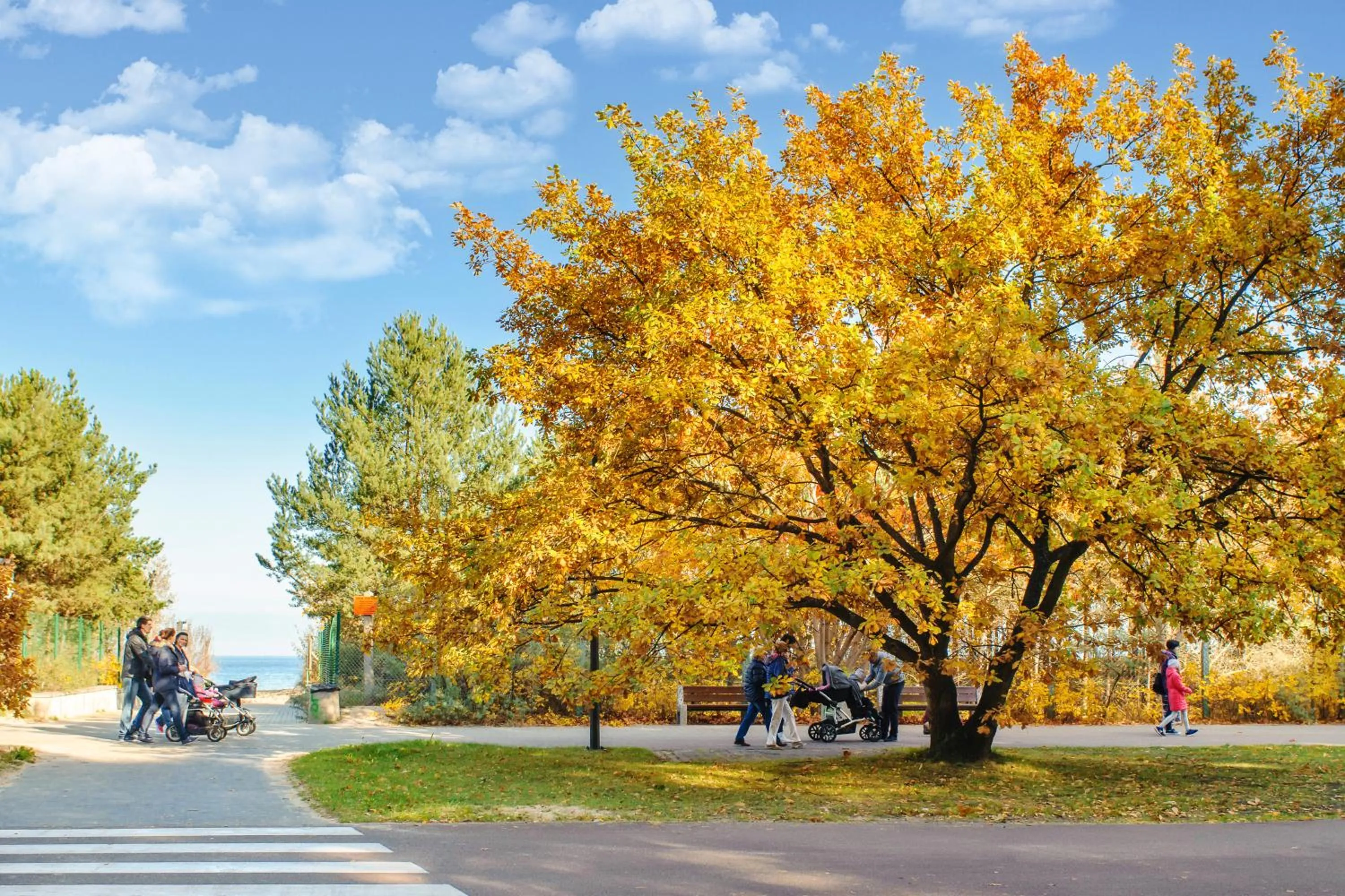 Garden in Neptun Park, Sun & Snow