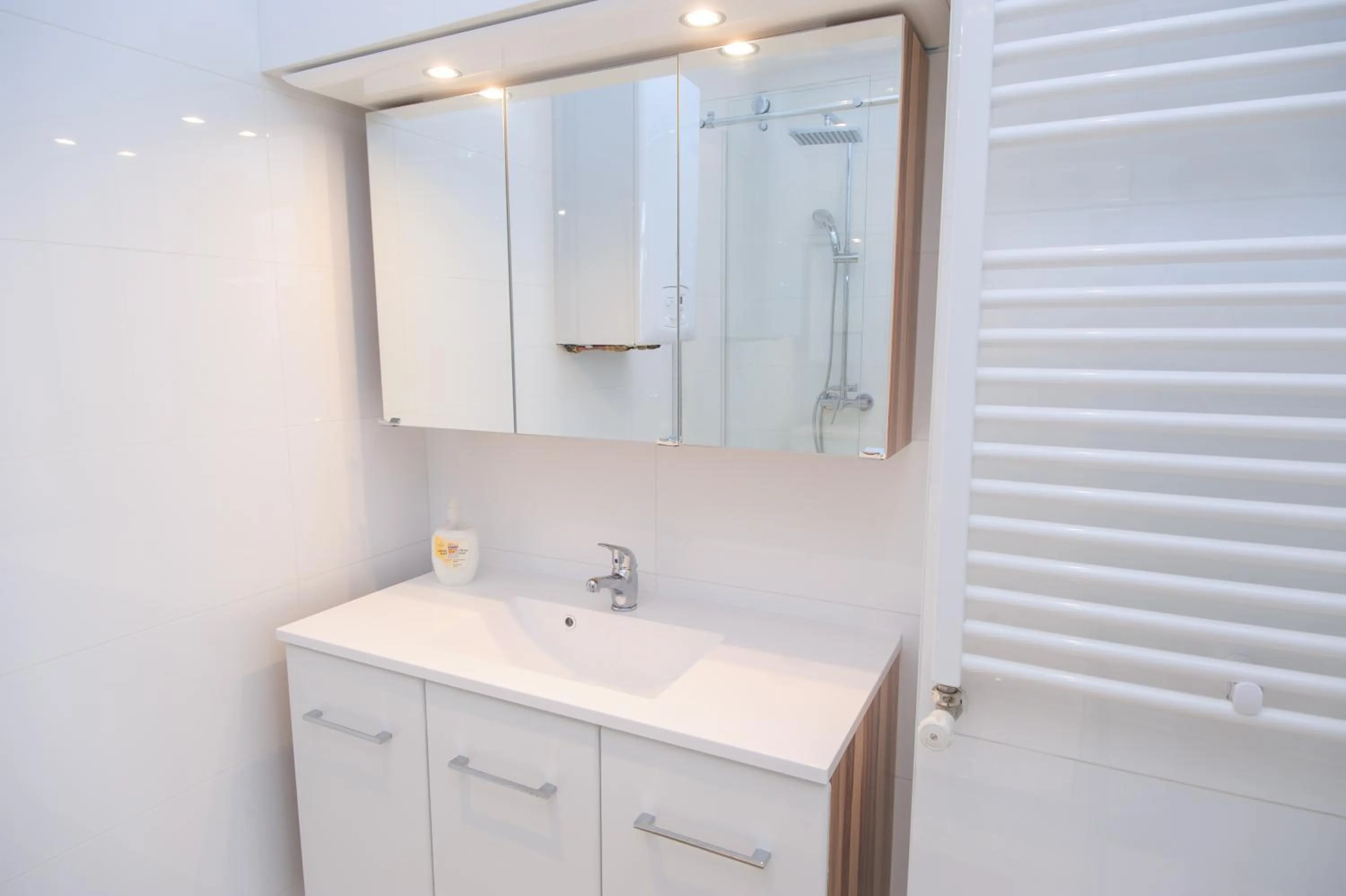 Bathroom in Vienna-apartment-one Schmidgasse