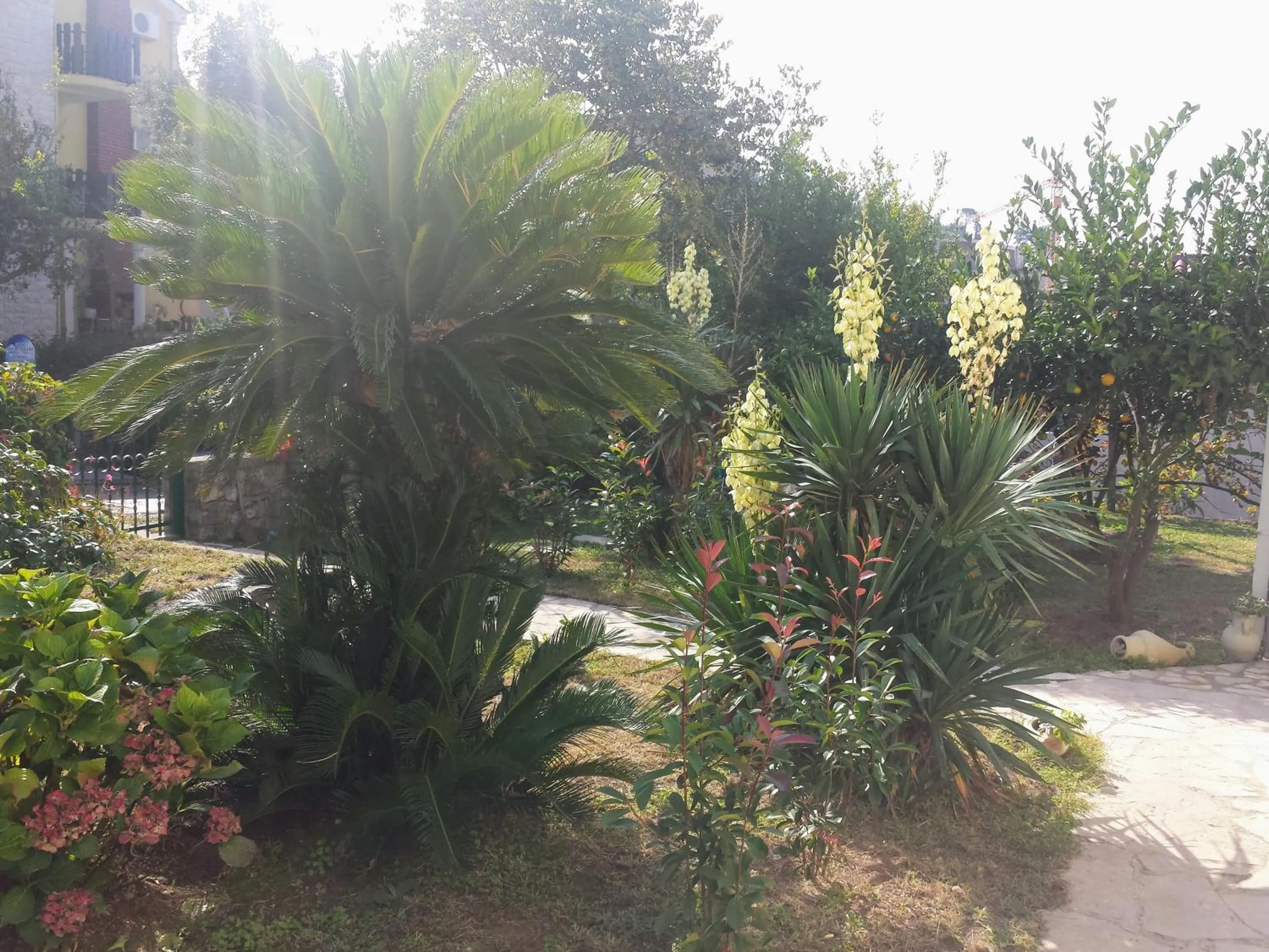 Guest House Djonovic