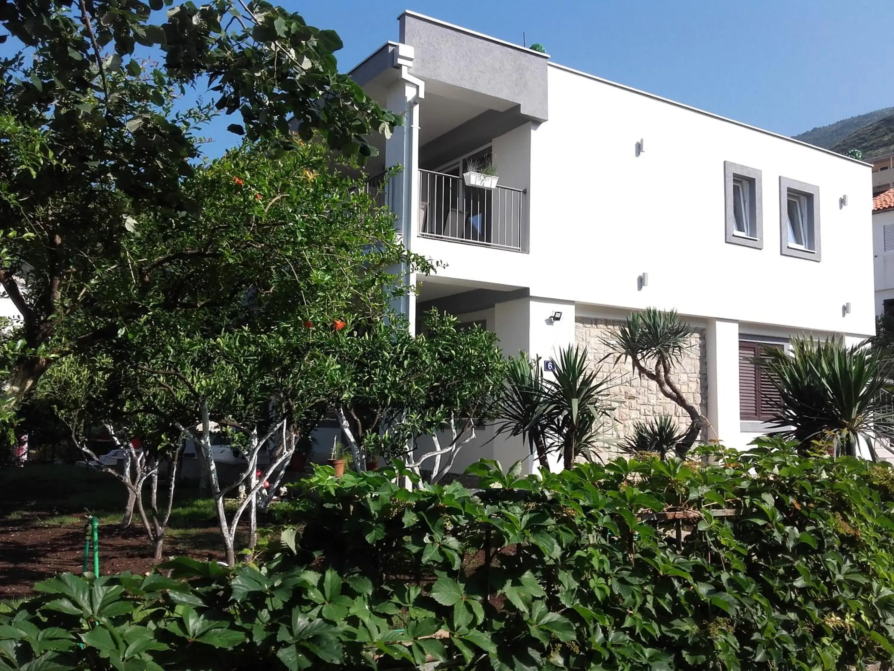 Guest House Djonovic Guest House Djonovic