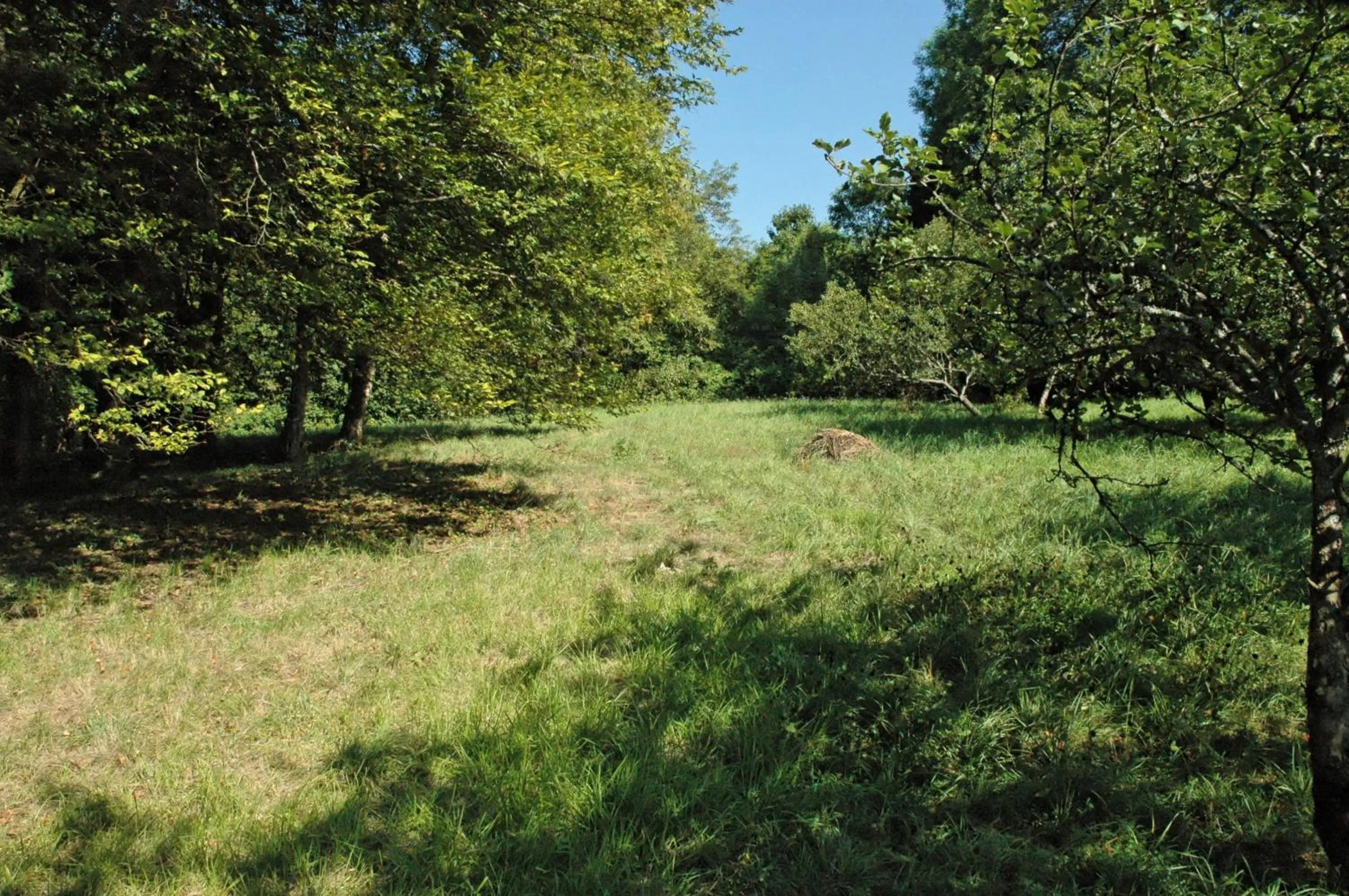 Area and facilities in Hôtel et Studios d'Orfeuil