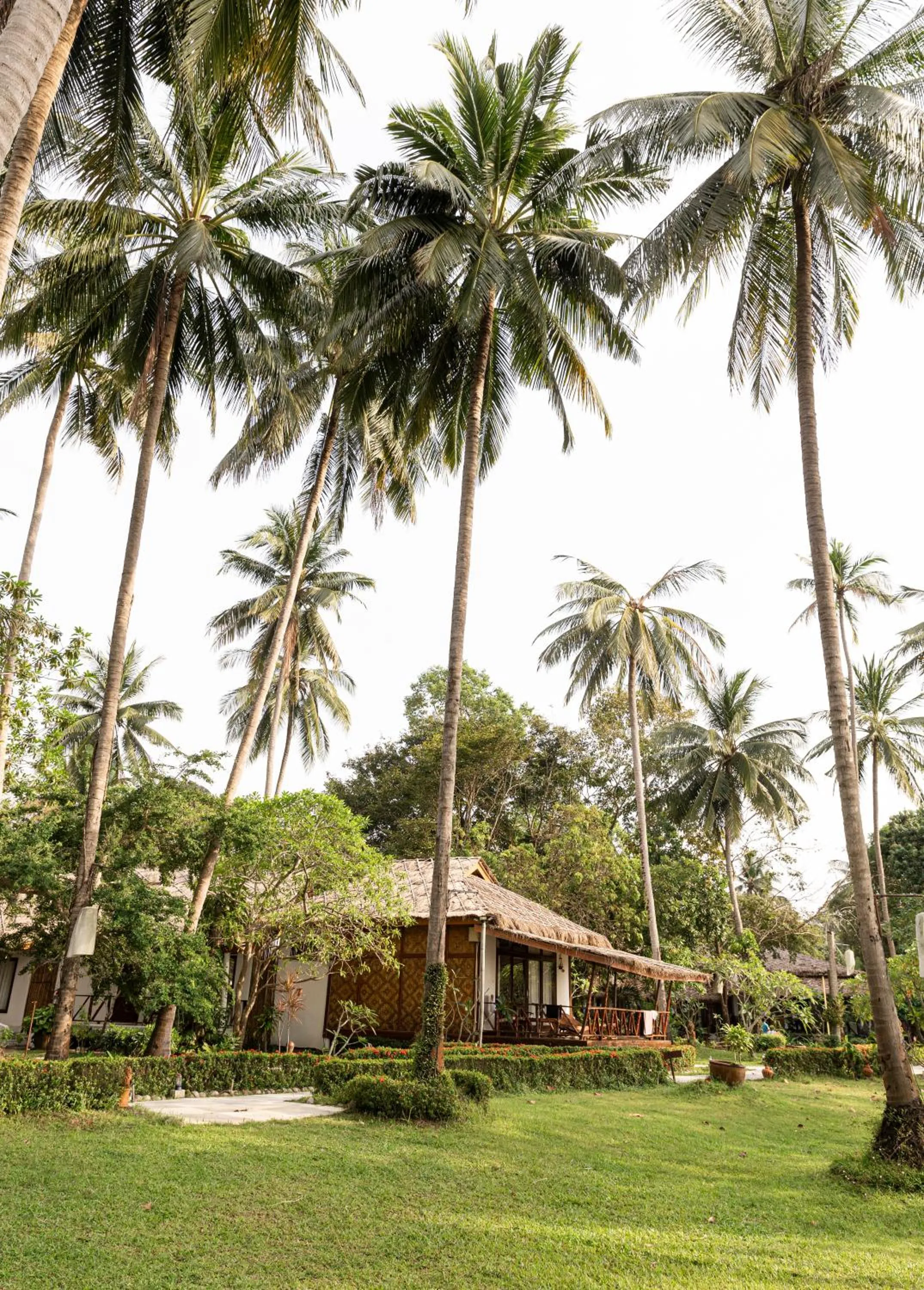 Lipa Lodge Beach Resort