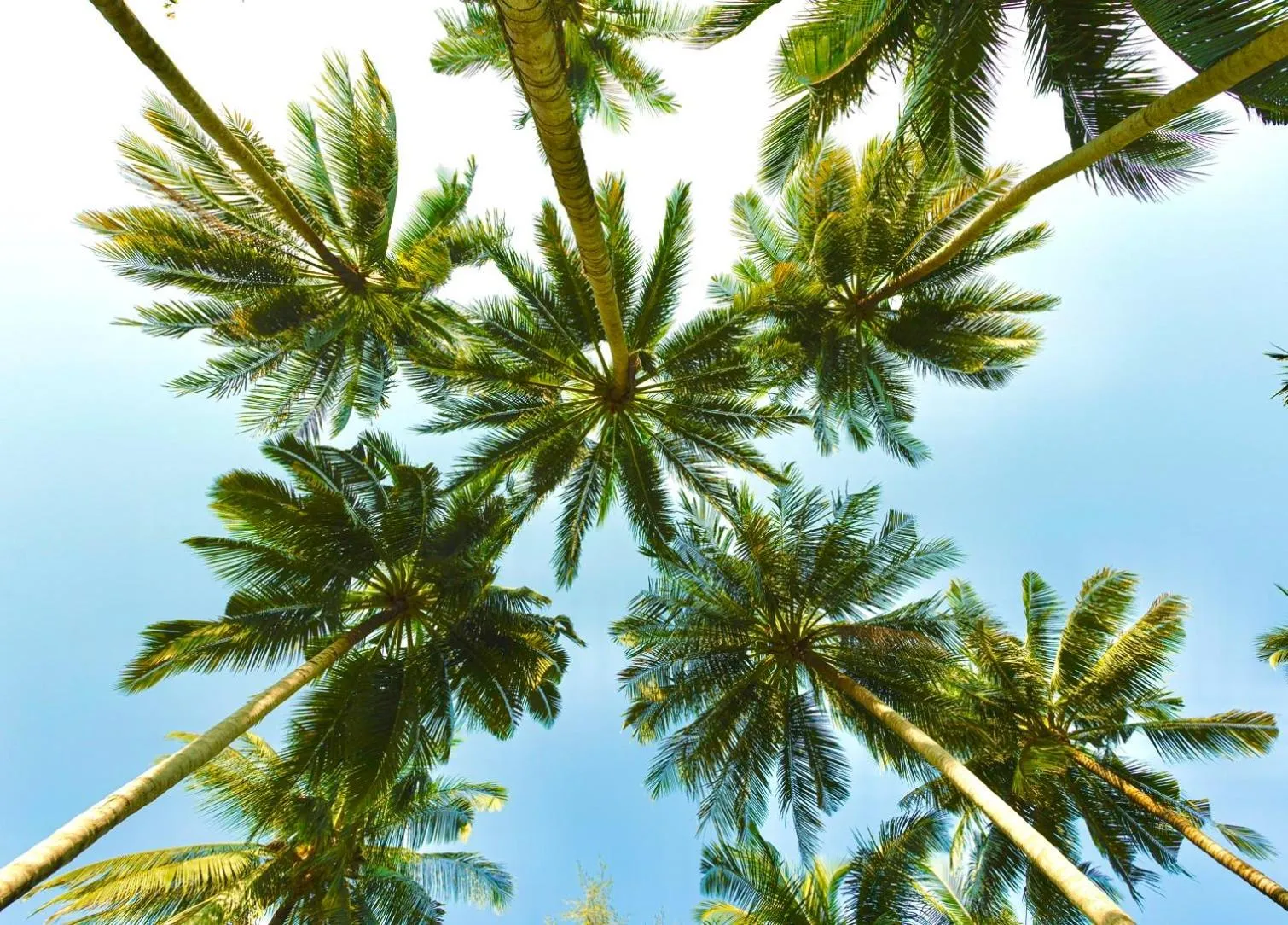 Lipa Lodge Beach Resort