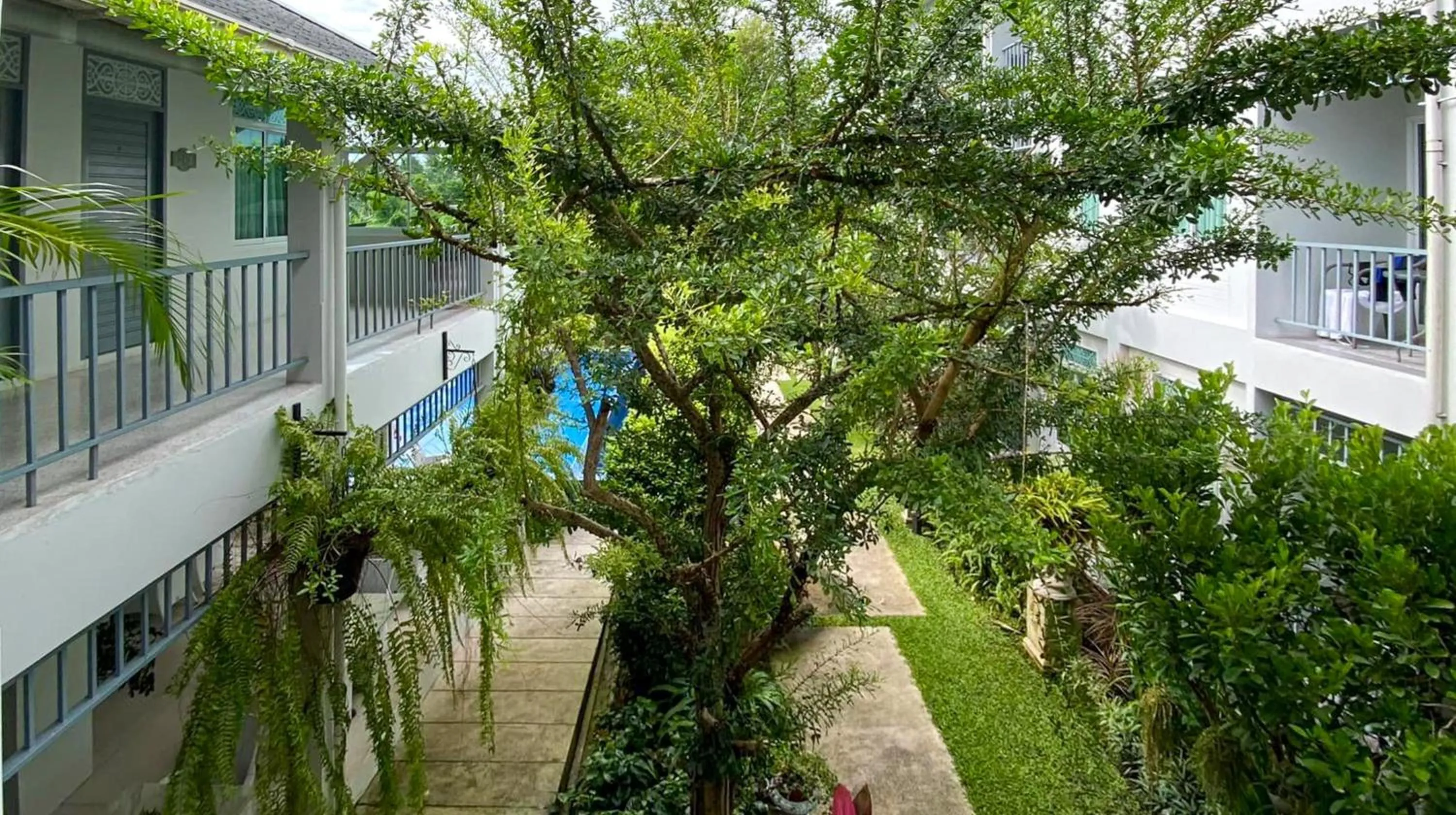 Garden in Villa Amphawa