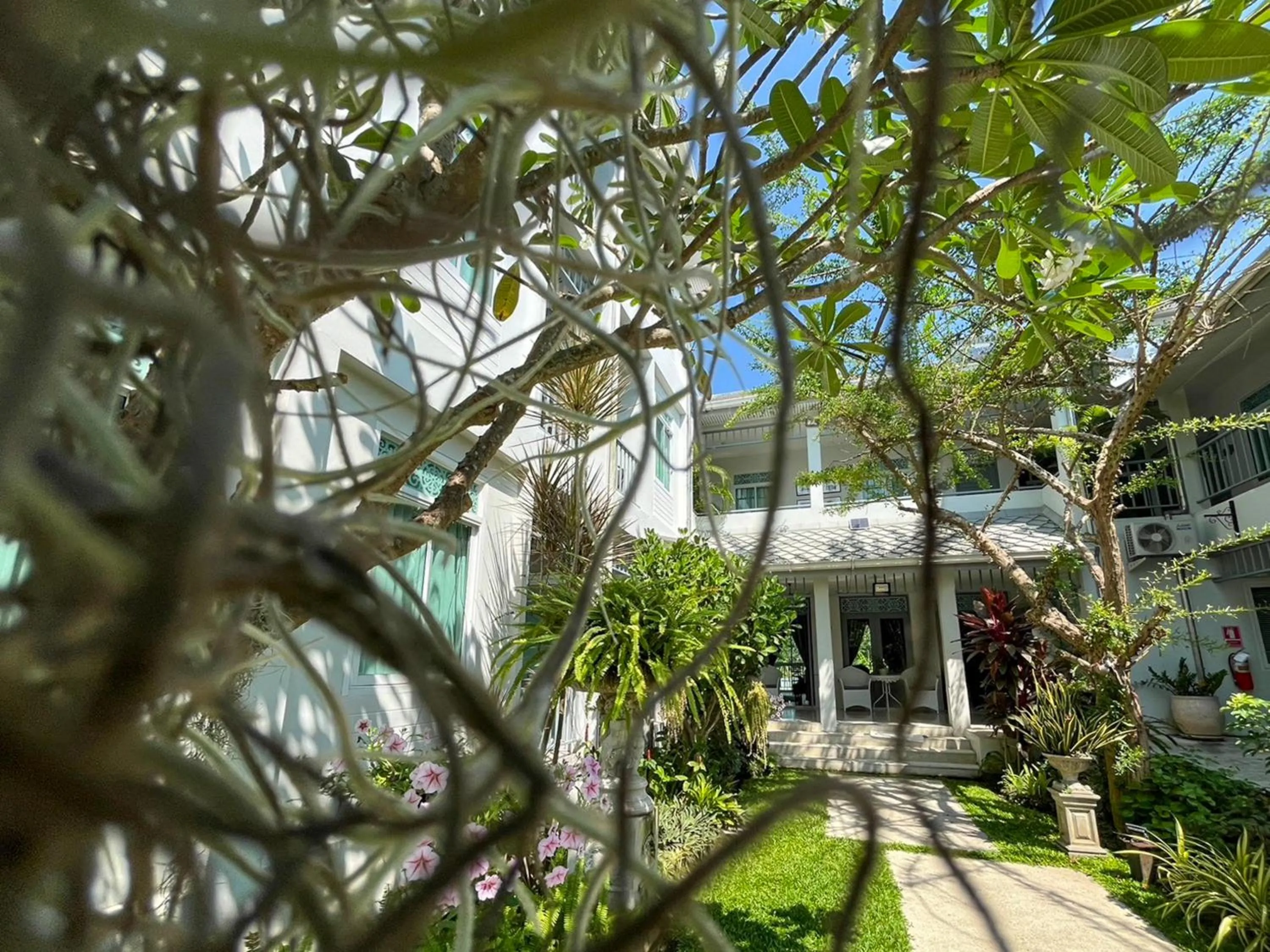 View (from property/room) in Villa Amphawa