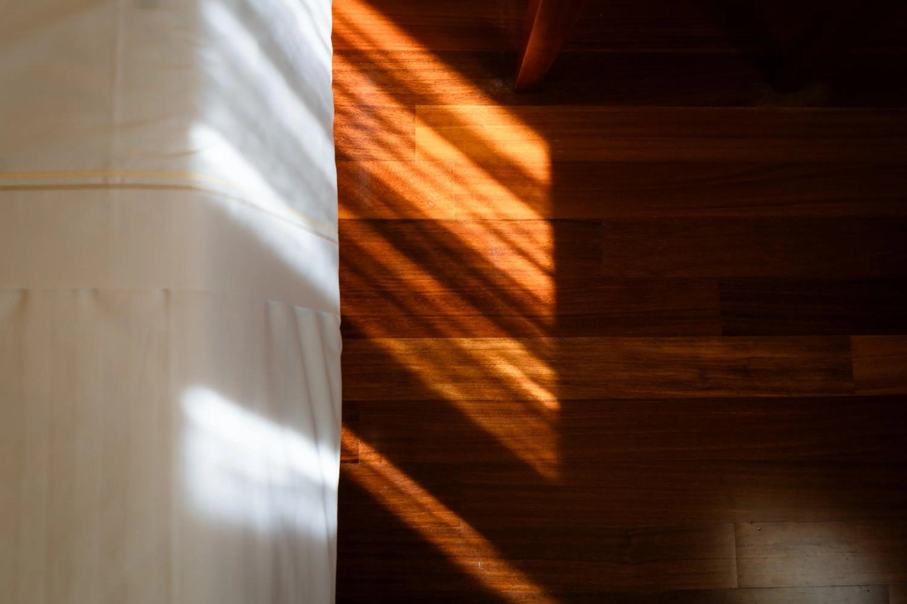 Hotel Airone - Ombrellone incluso al bagno Dolce Vita a Marina dal 1 giugno al 28 settembre