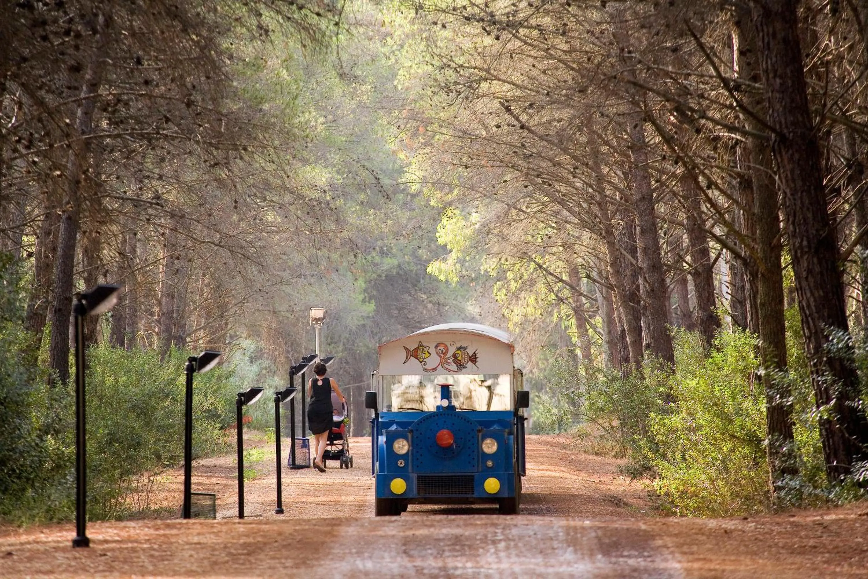 Area and facilities in TH Marina di Pisticci - Ti Blu Village