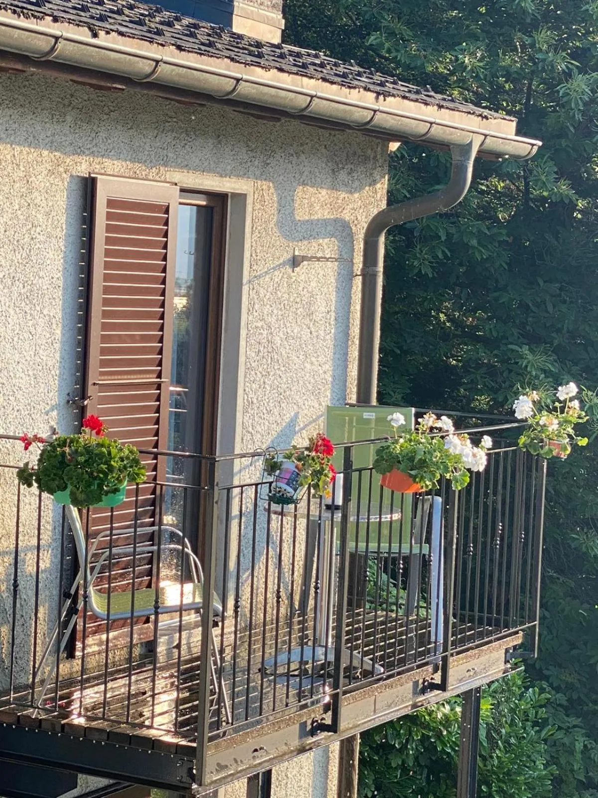 Property building in Viva Bacco