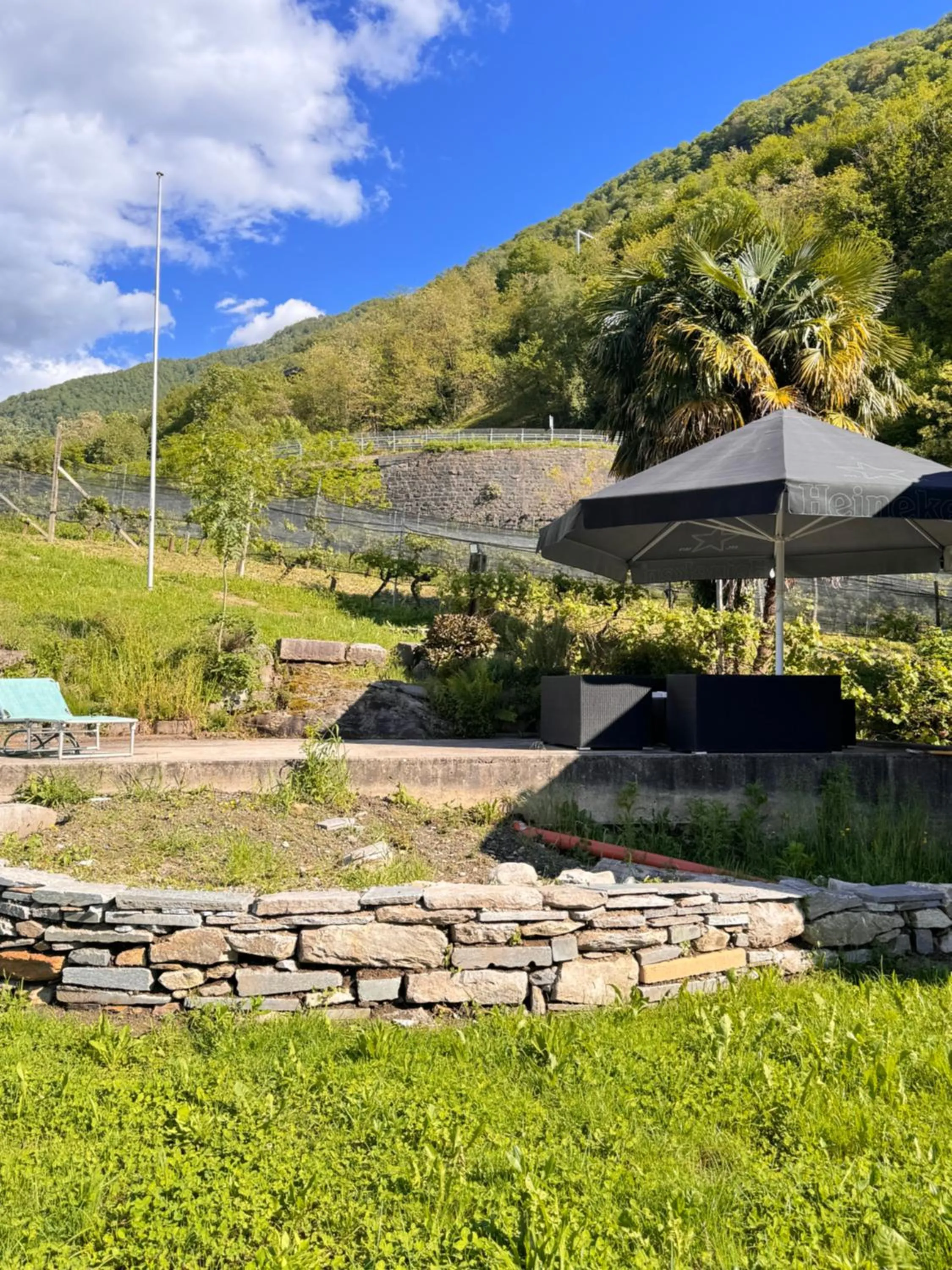 Spring in Viva Bacco