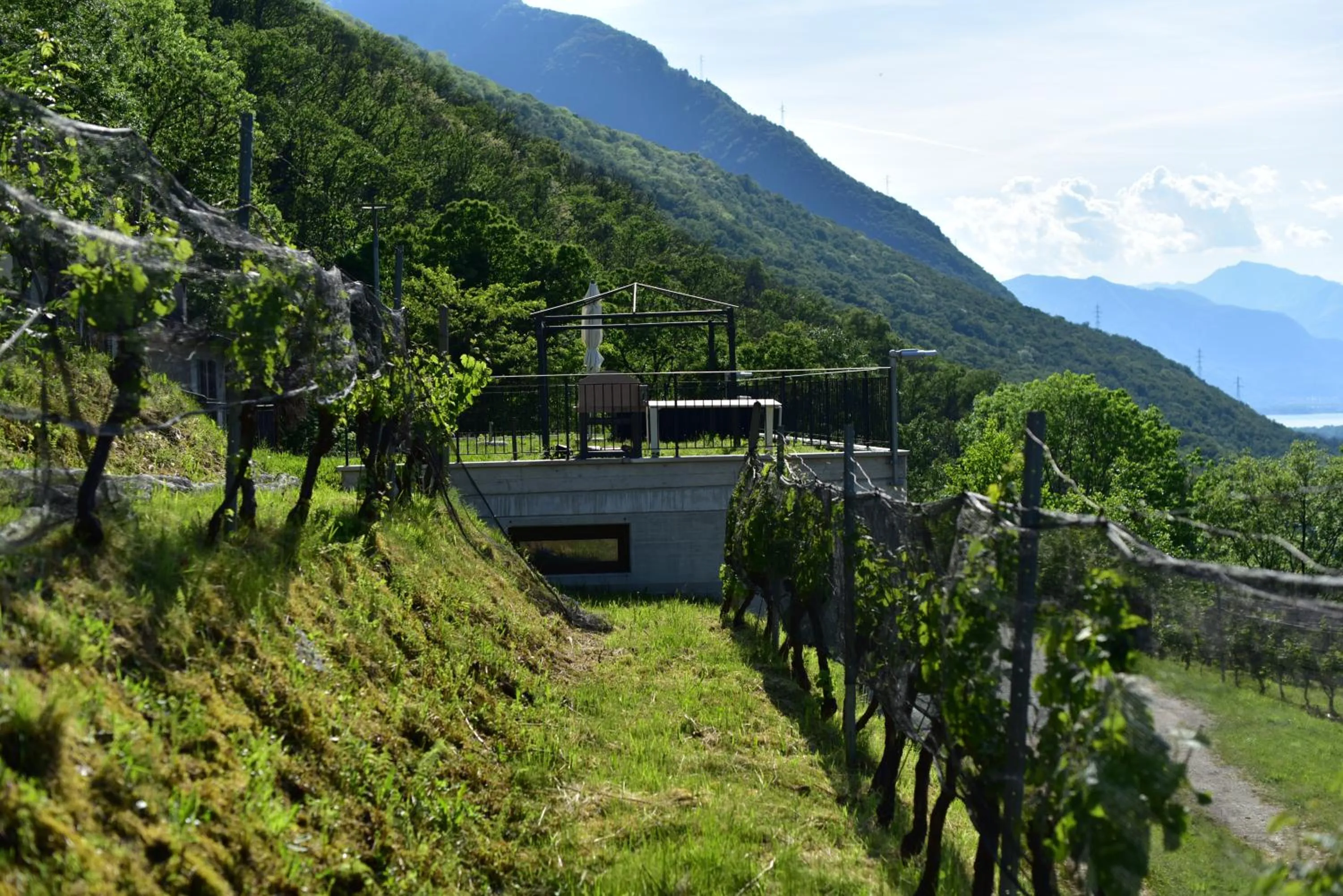 Natural landscape in Viva Bacco