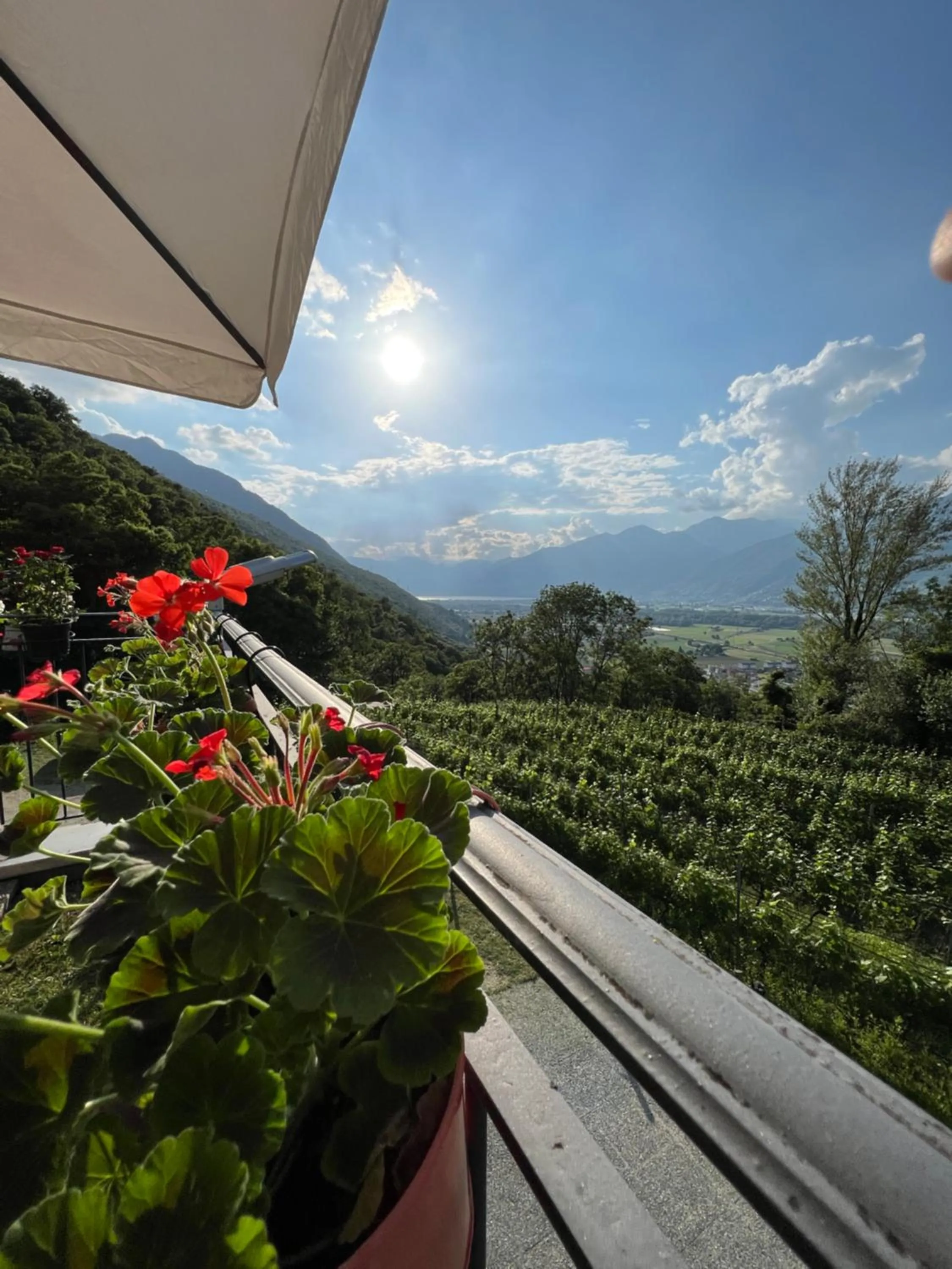 Spring in Viva Bacco