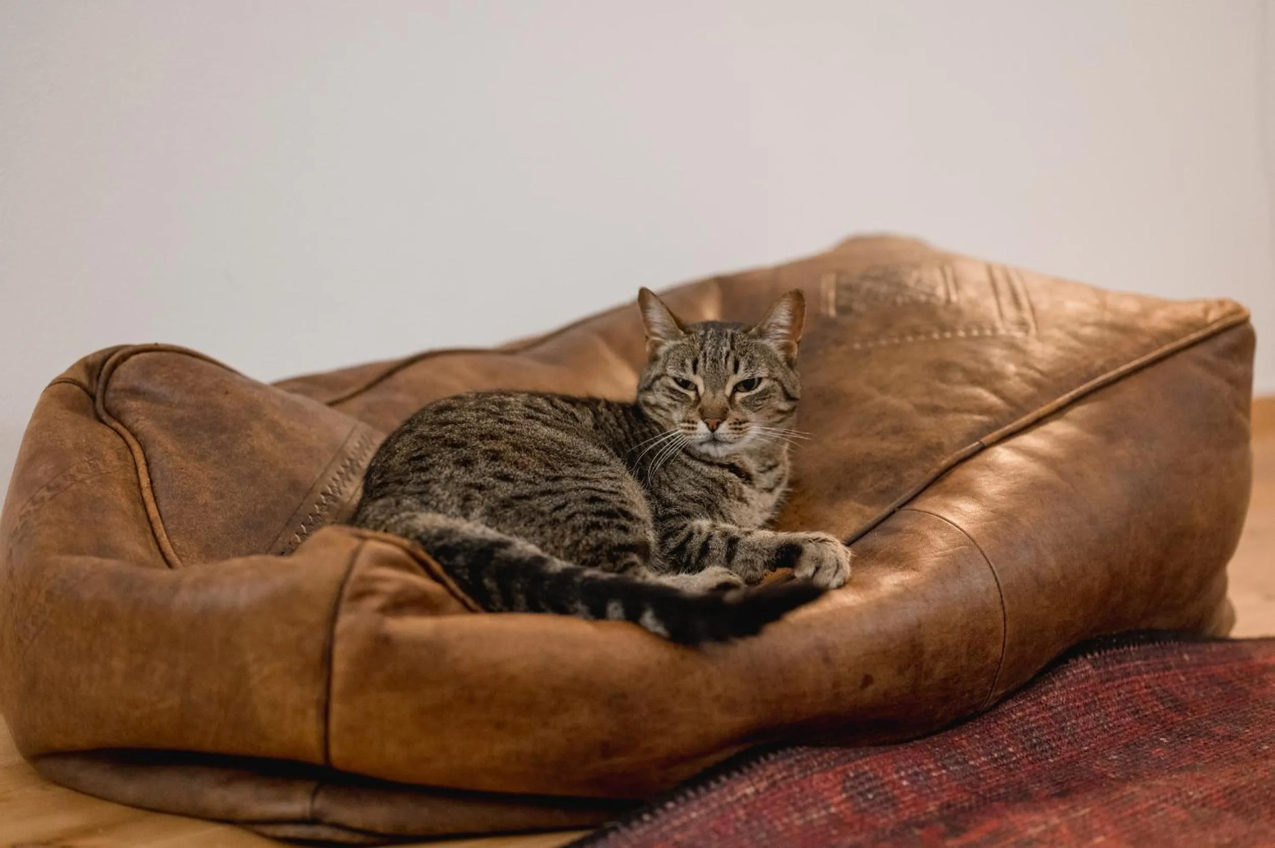 Monte Gois Country House e Spa