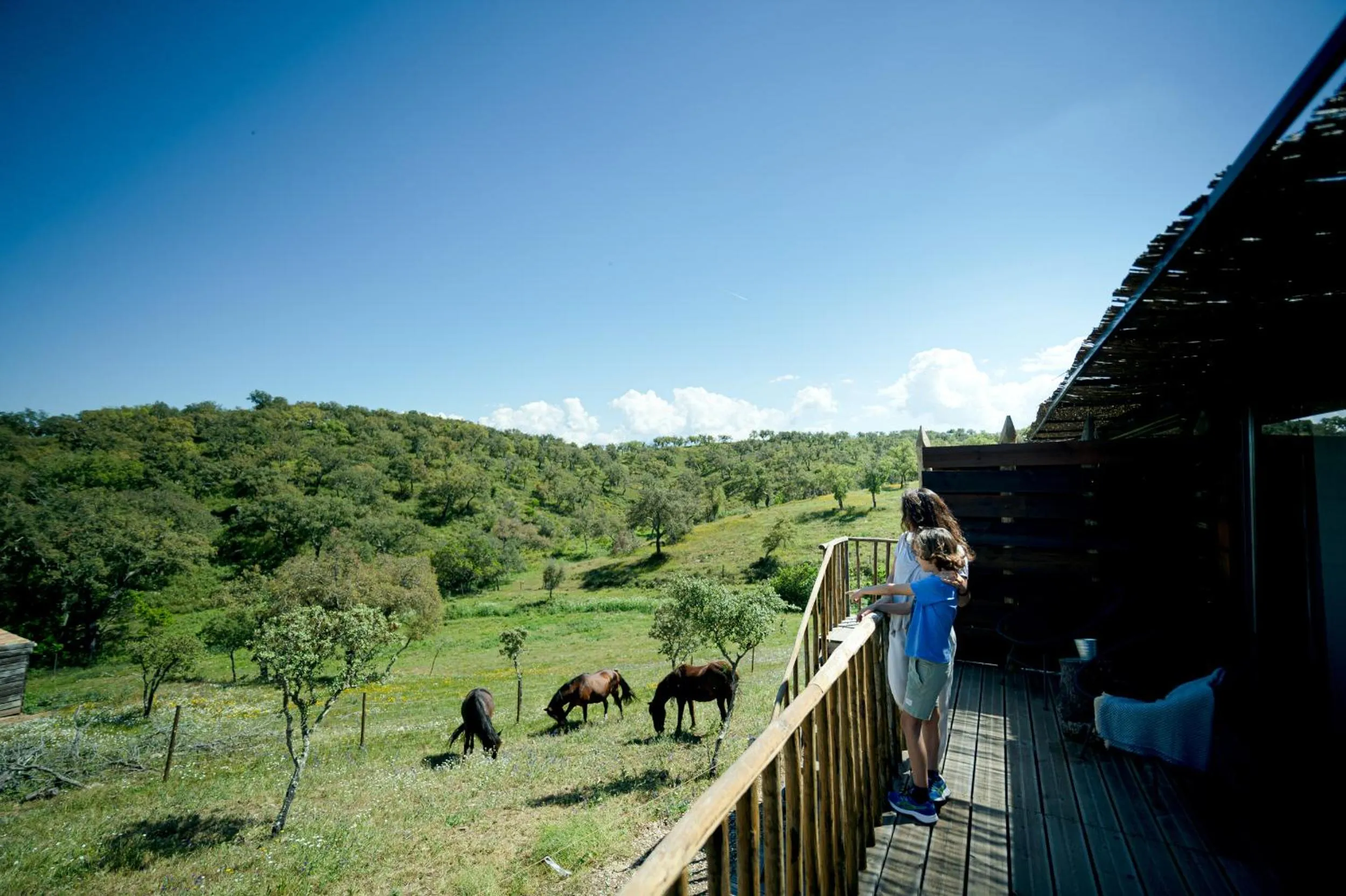 Monte Gois Country House e Spa