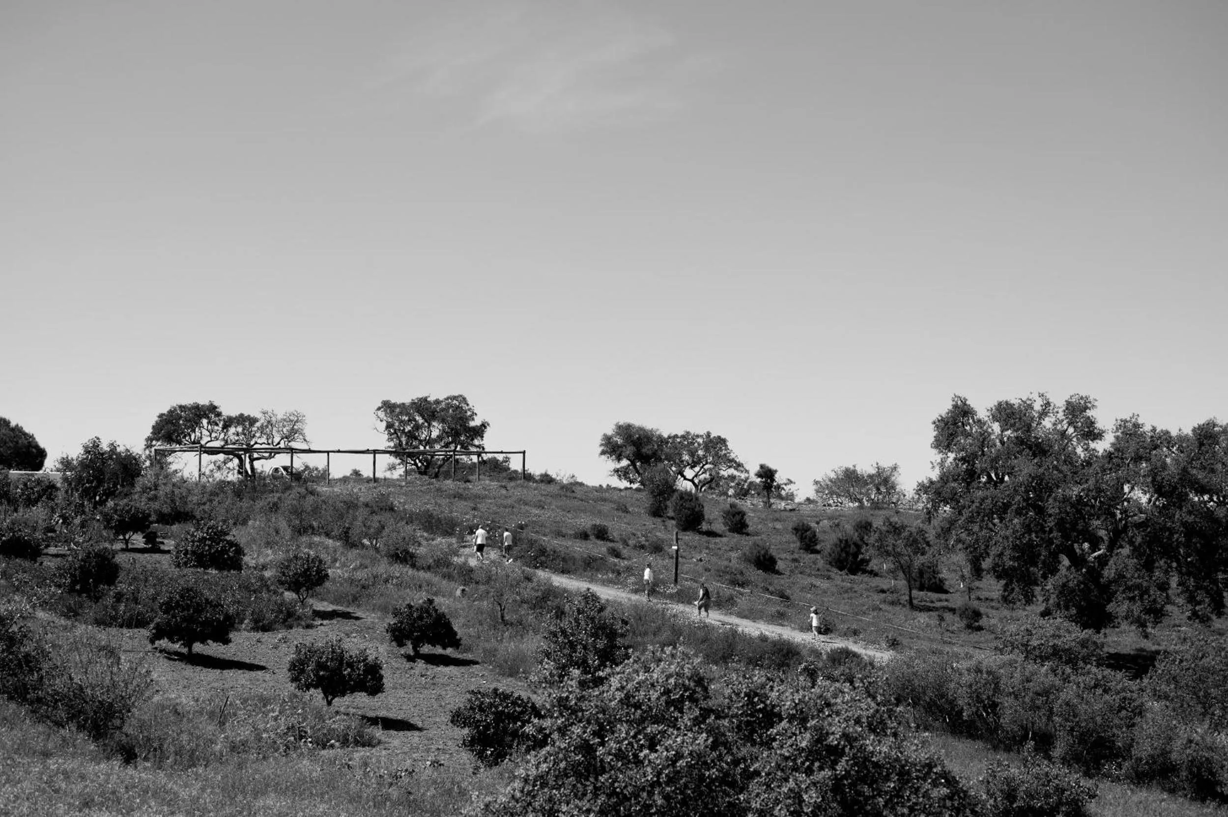 Monte Gois Country House e Spa