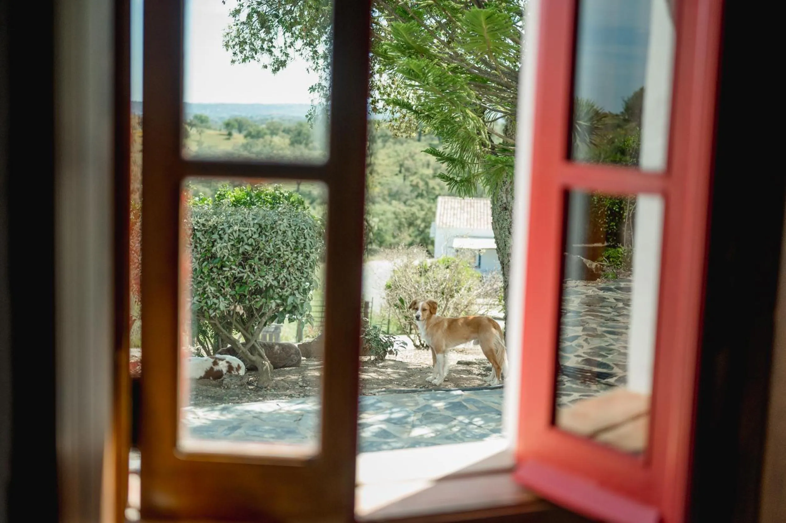 Monte Gois Country House e Spa