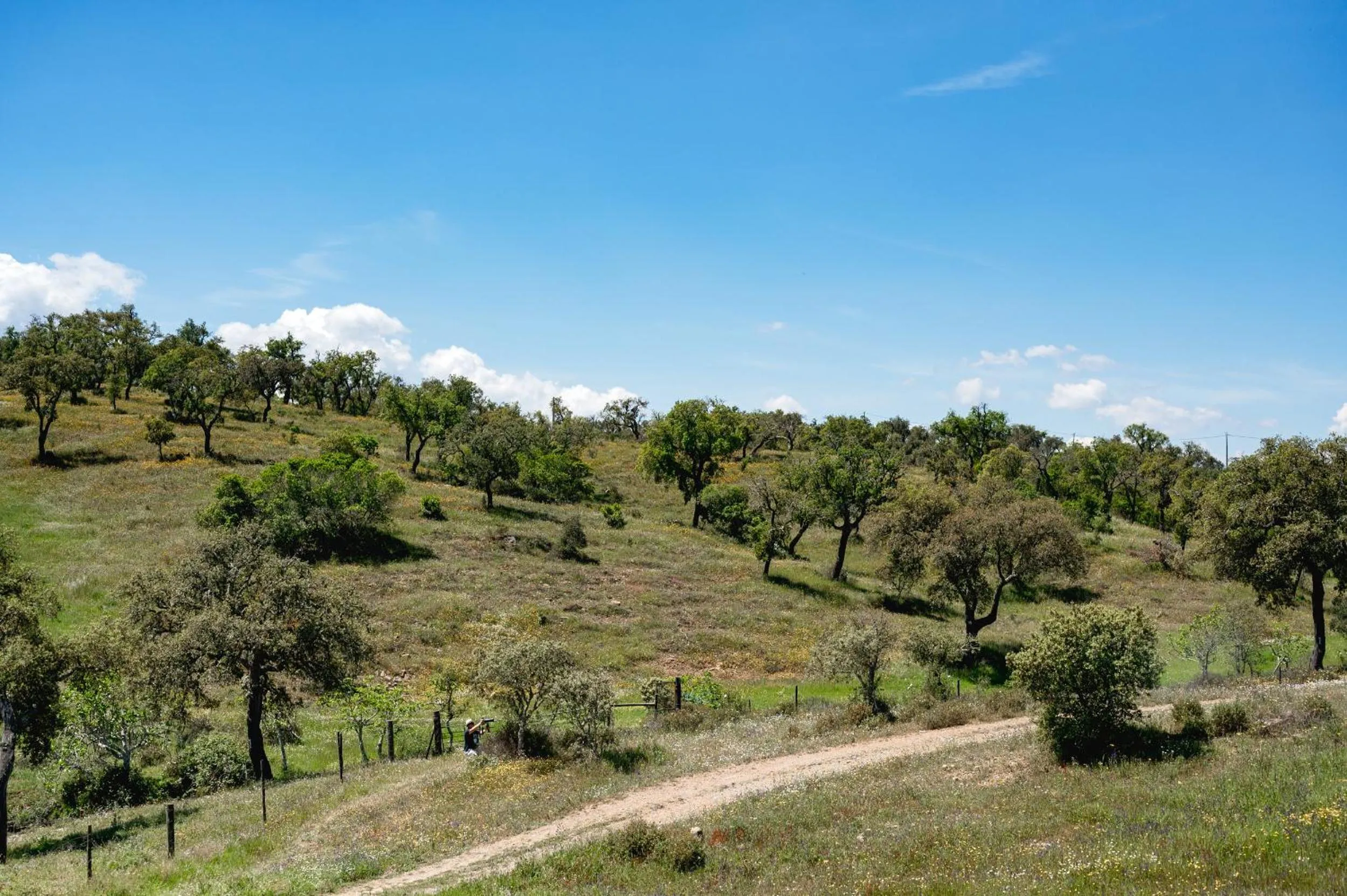 Monte Gois Country House e Spa