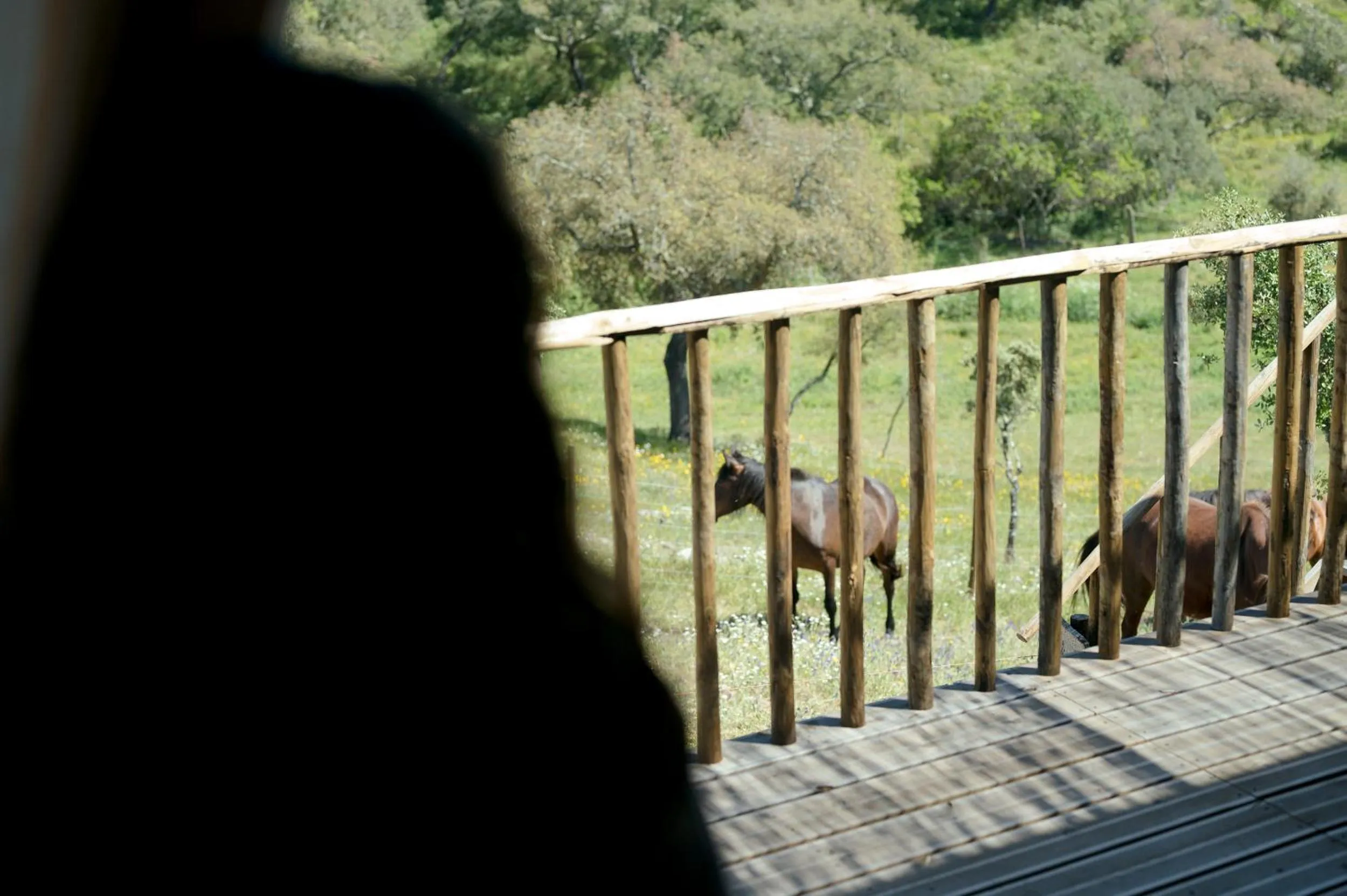 Monte Gois Country House e Spa