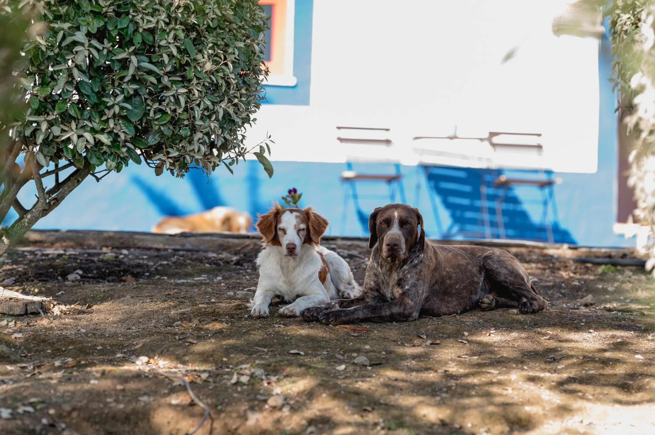 Monte Gois Country House e Spa