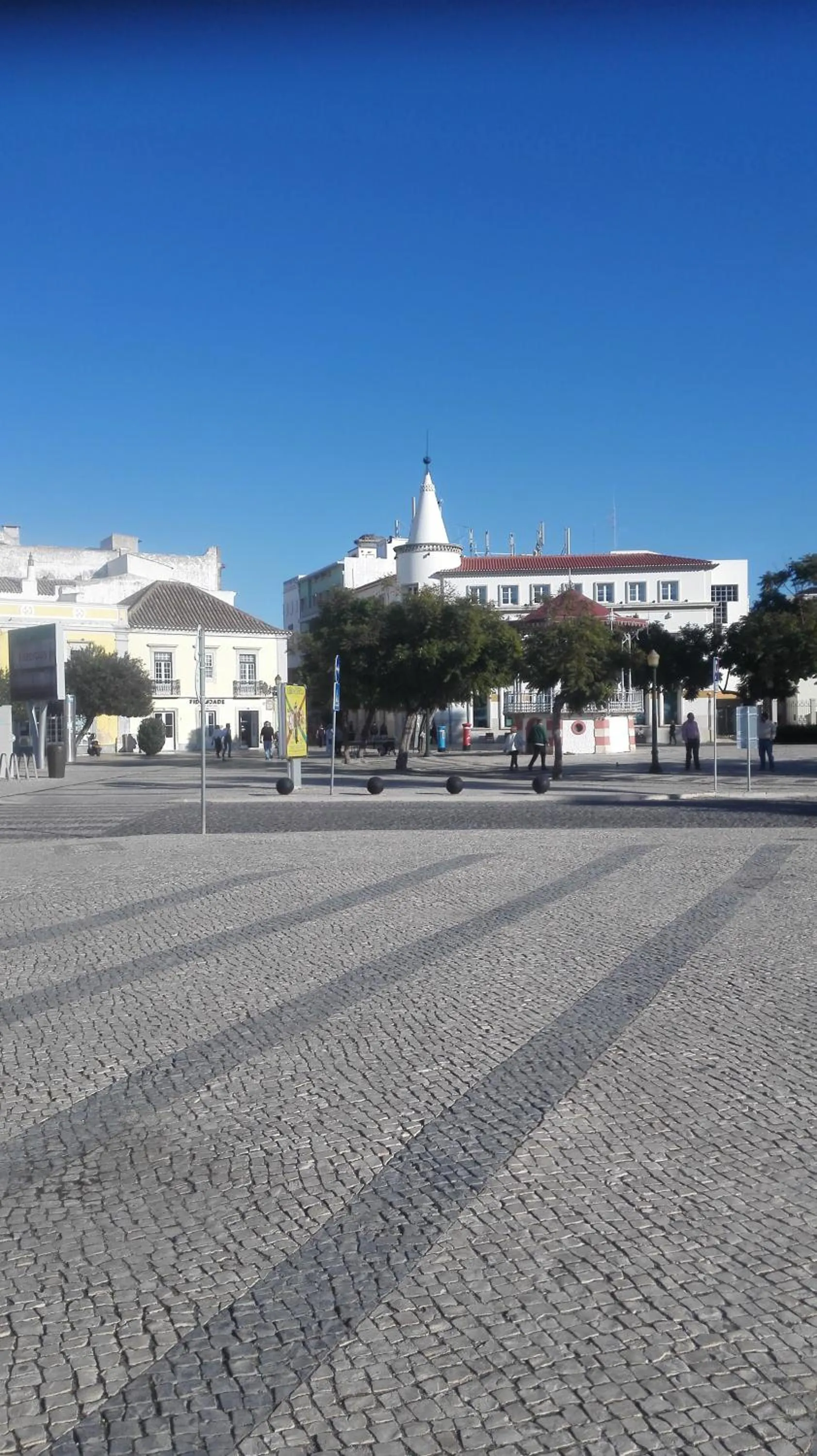 Natural landscape in Residencial Condado