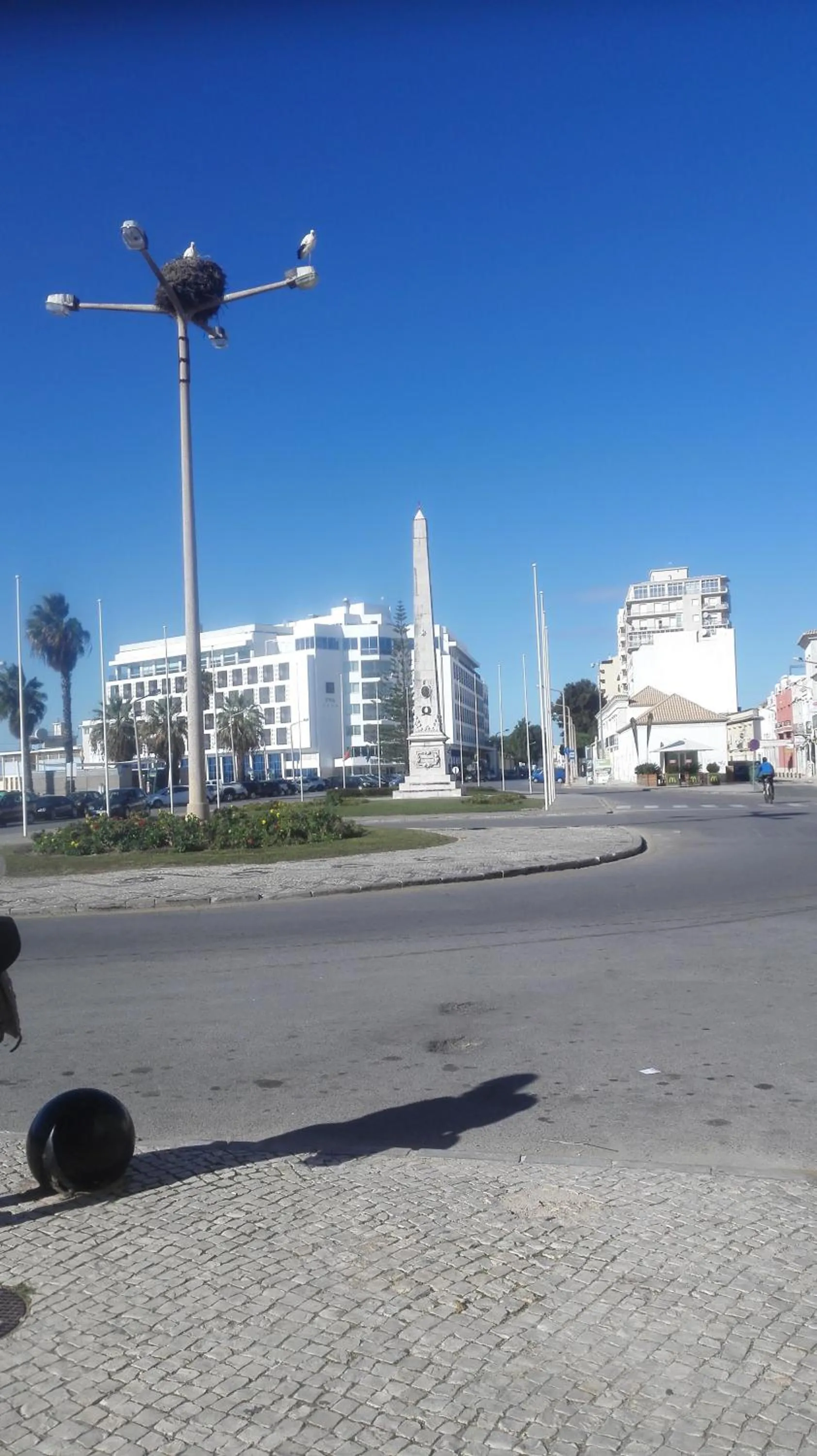Natural landscape in Residencial Condado