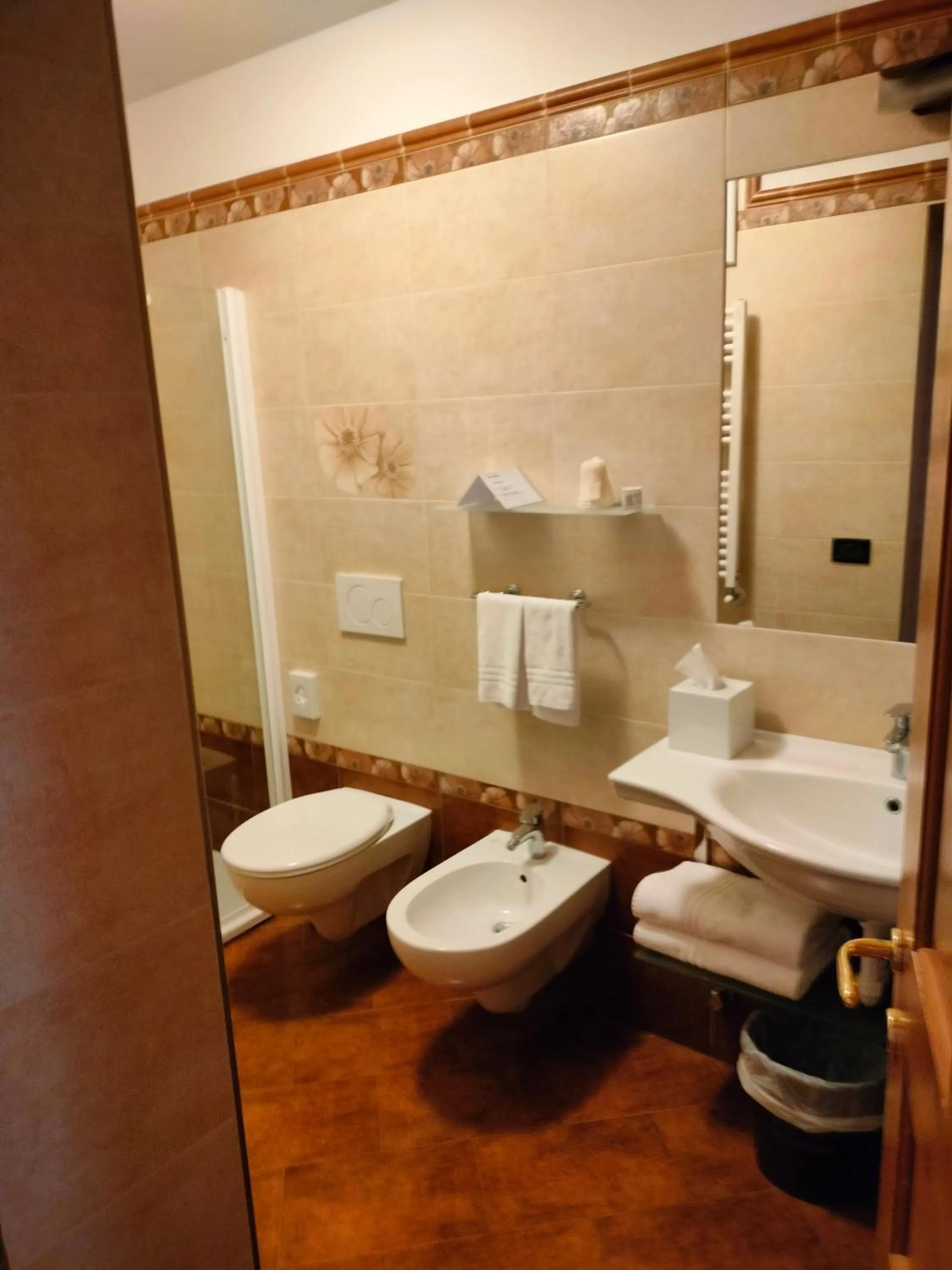 Shower in Hotel Stella Alpina